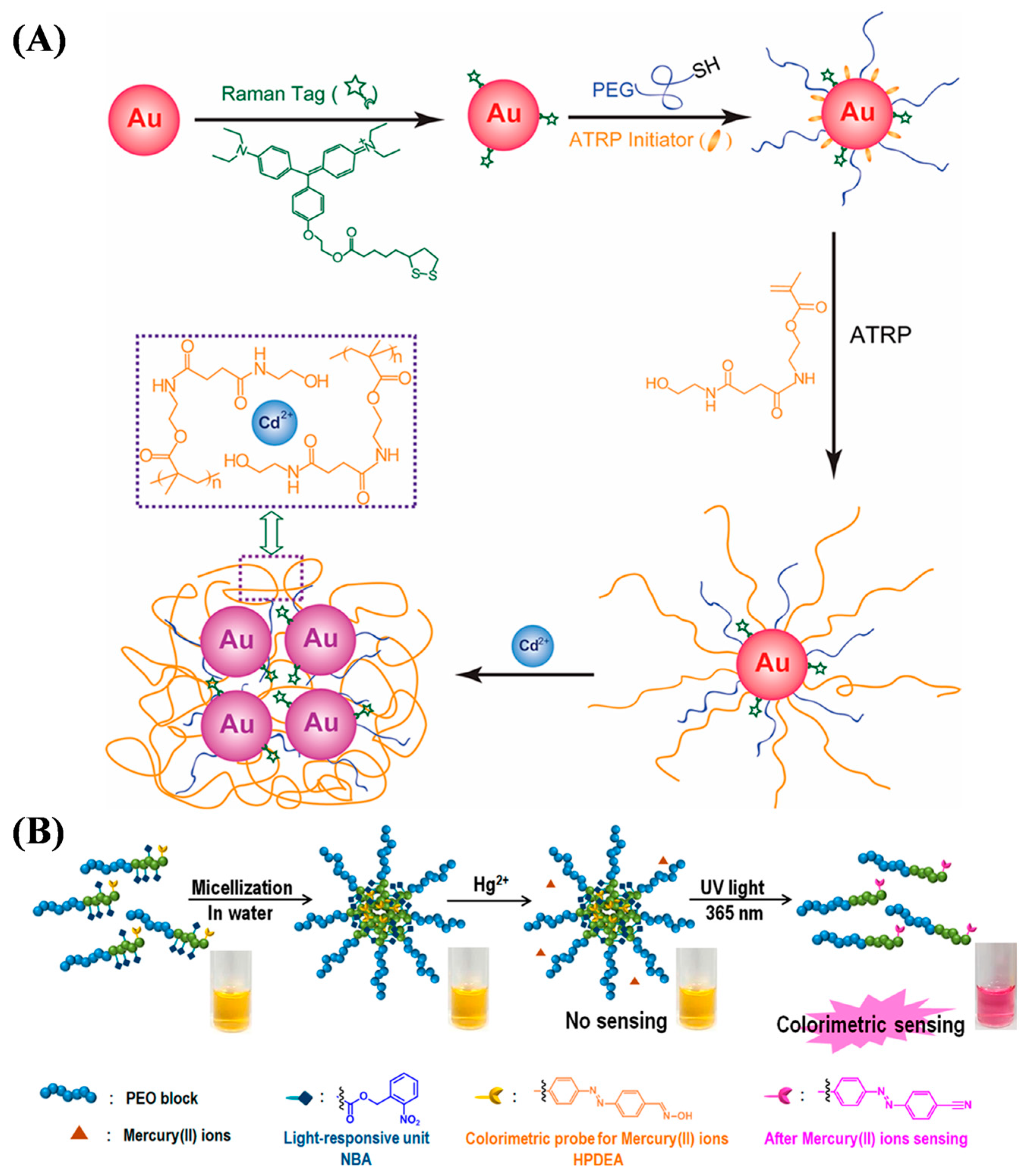 Biosensors 15 00752 g003