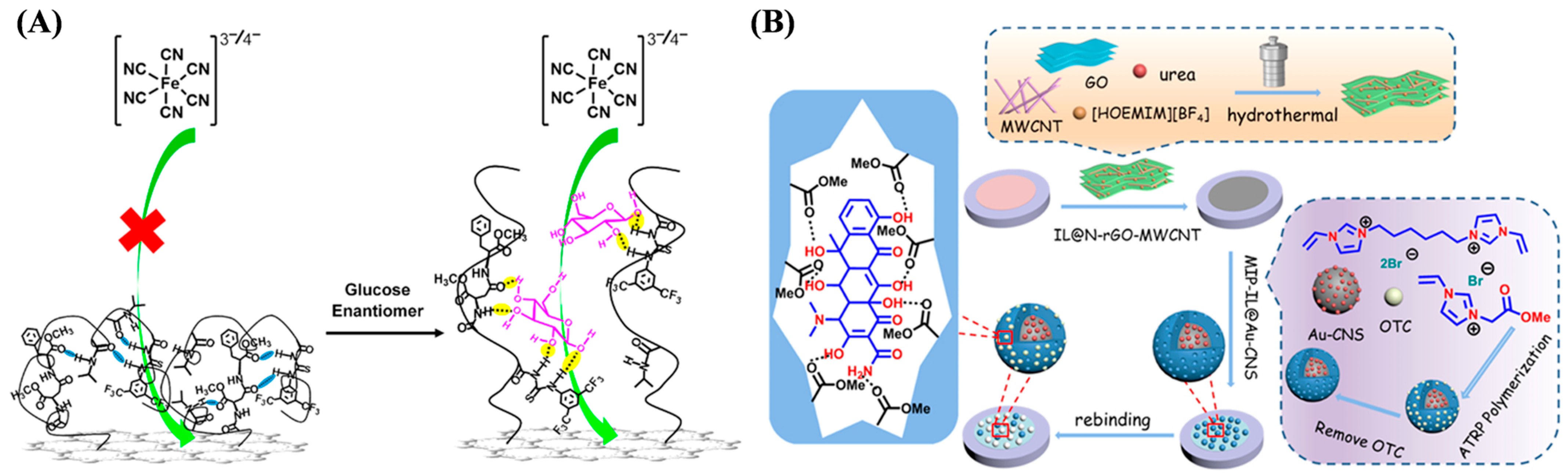 Biosensors 15 00752 g004