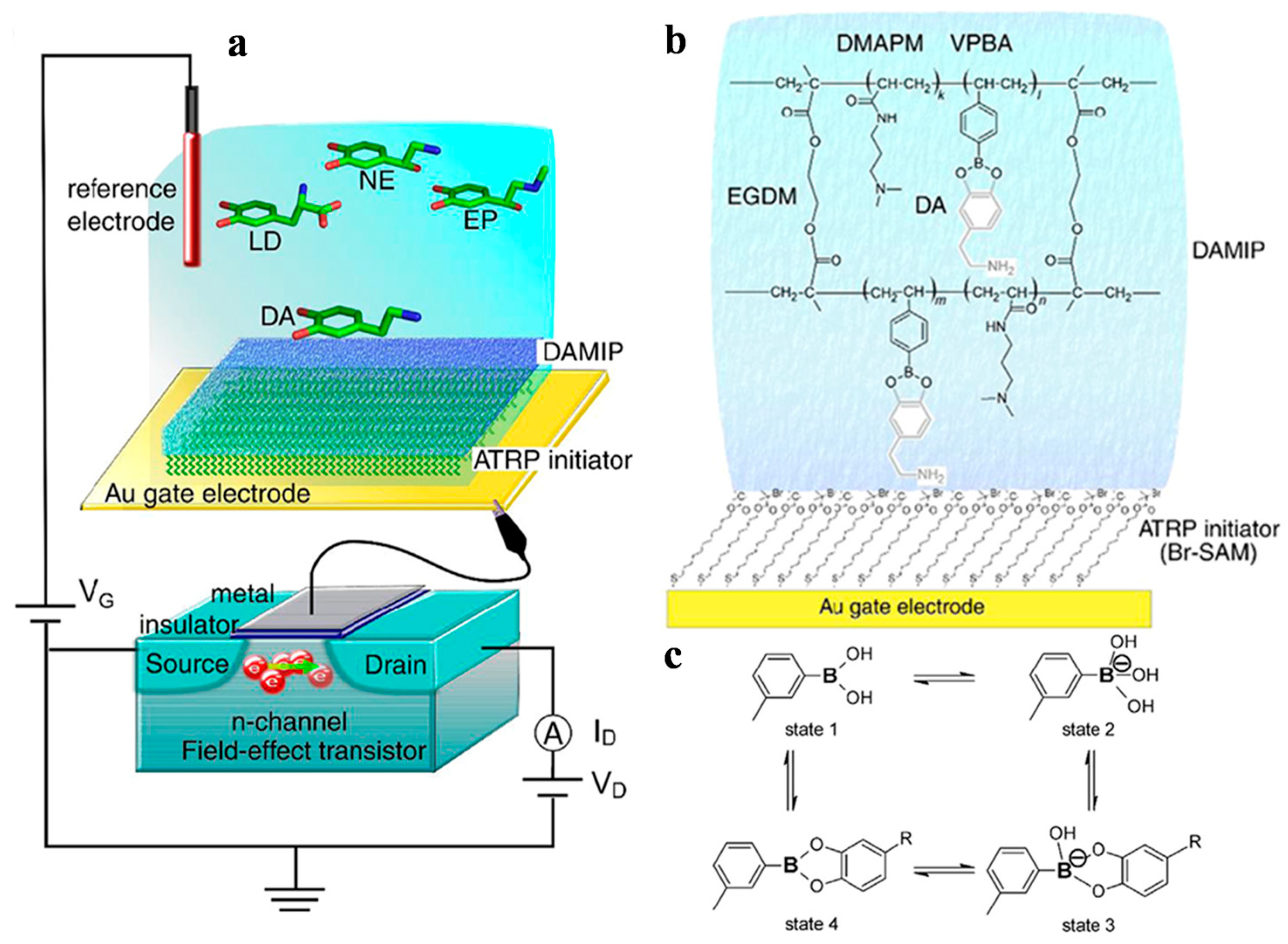 Biosensors 15 00752 g005