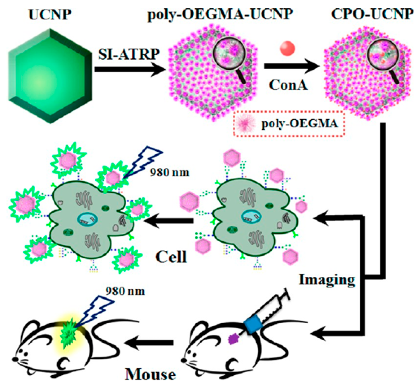 Biosensors 15 00752 g009