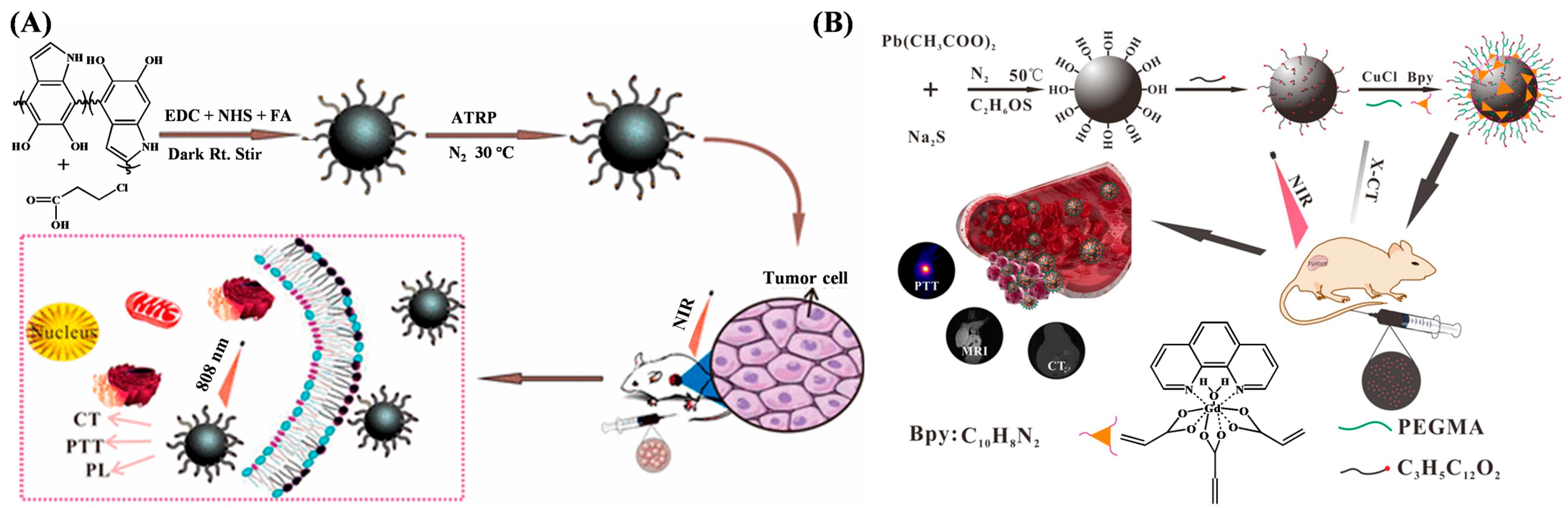 Biosensors 15 00752 g010