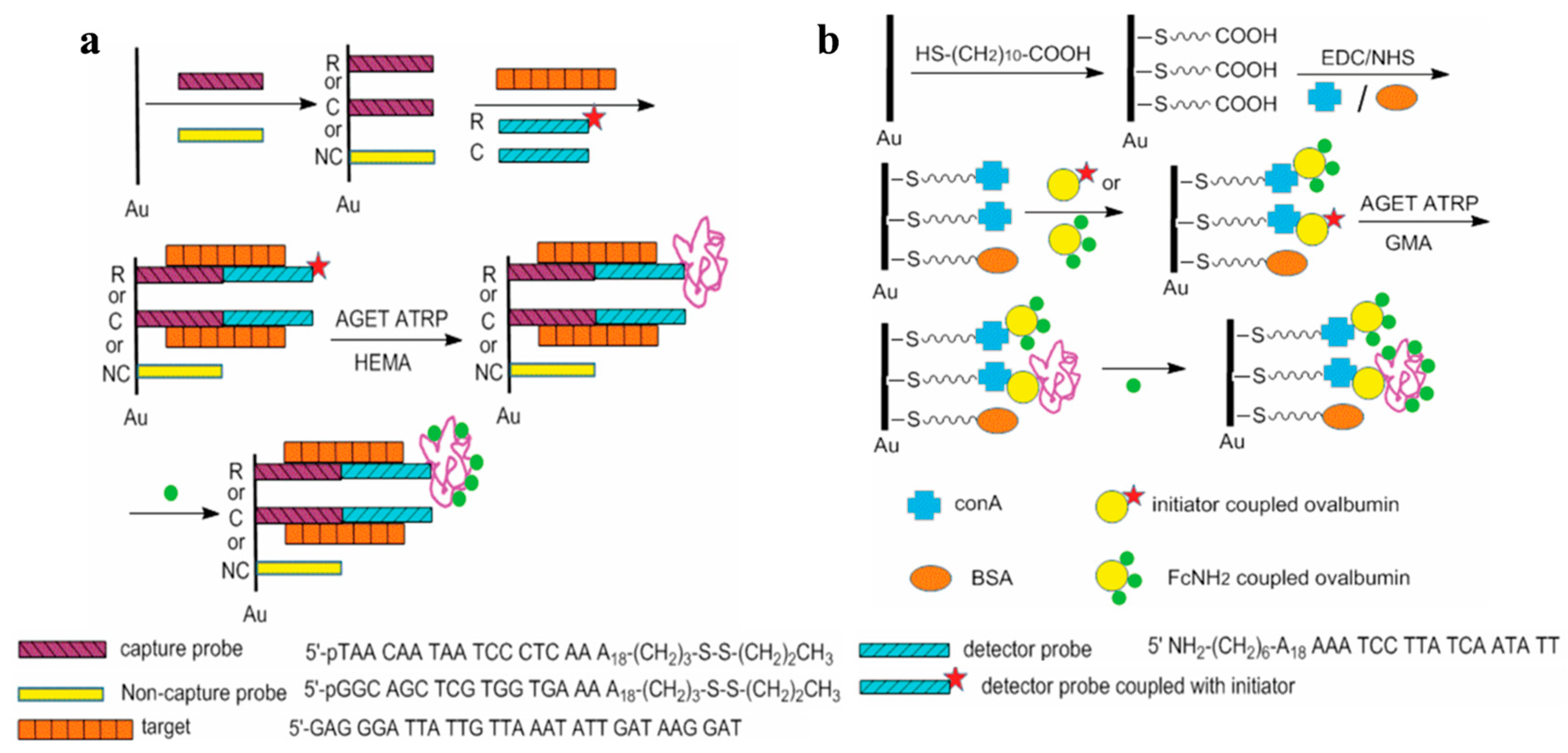 Biosensors 15 00752 g011