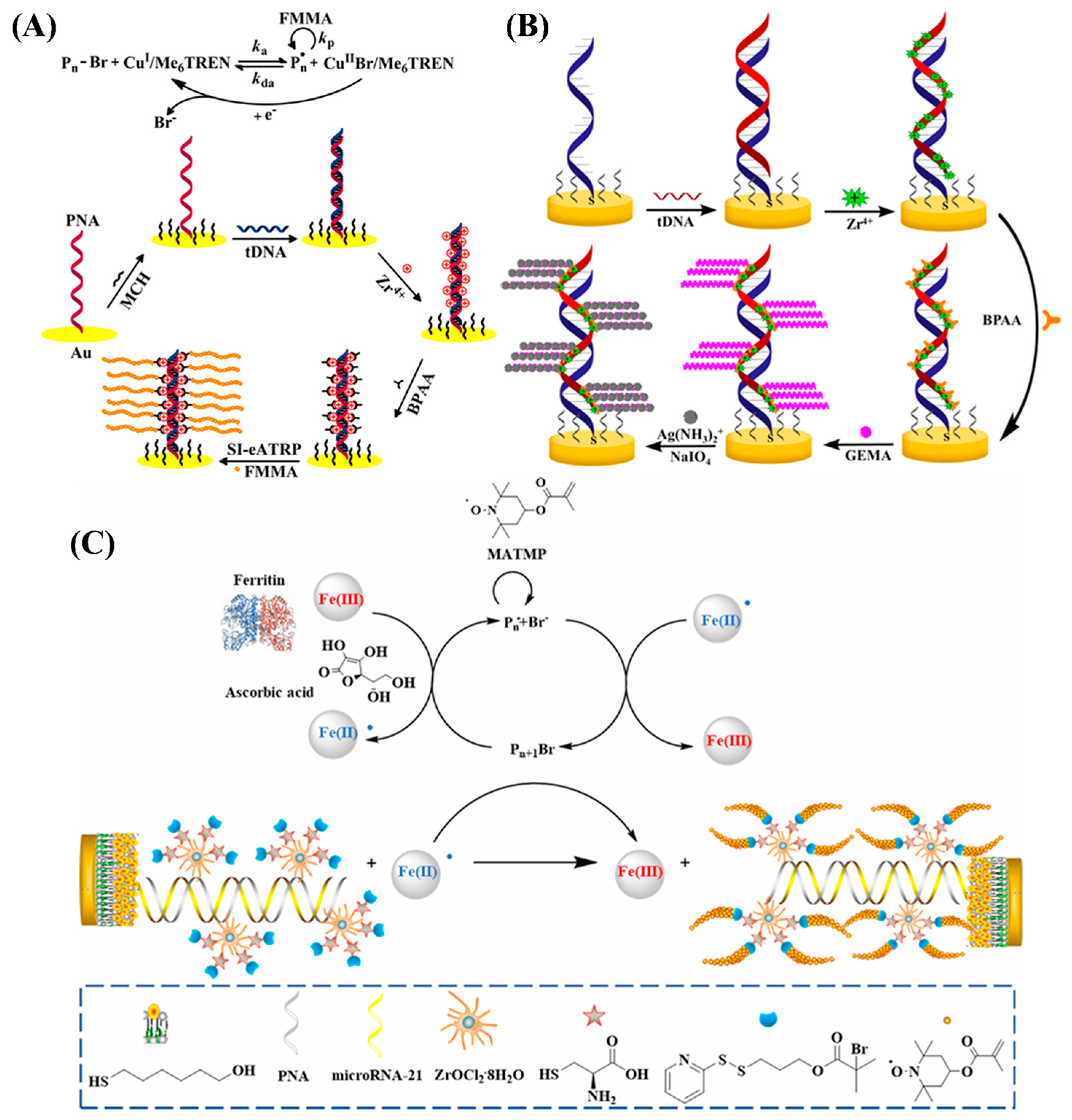 Biosensors 15 00752 g012