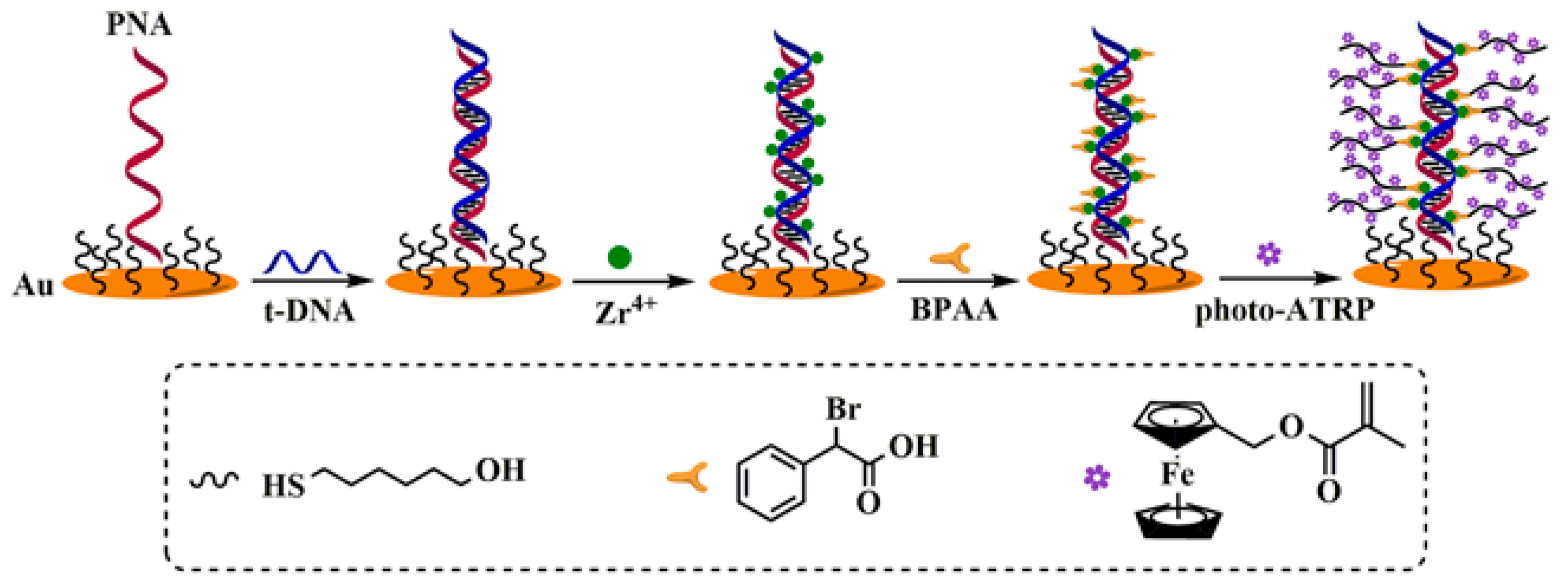Biosensors 15 00752 g013