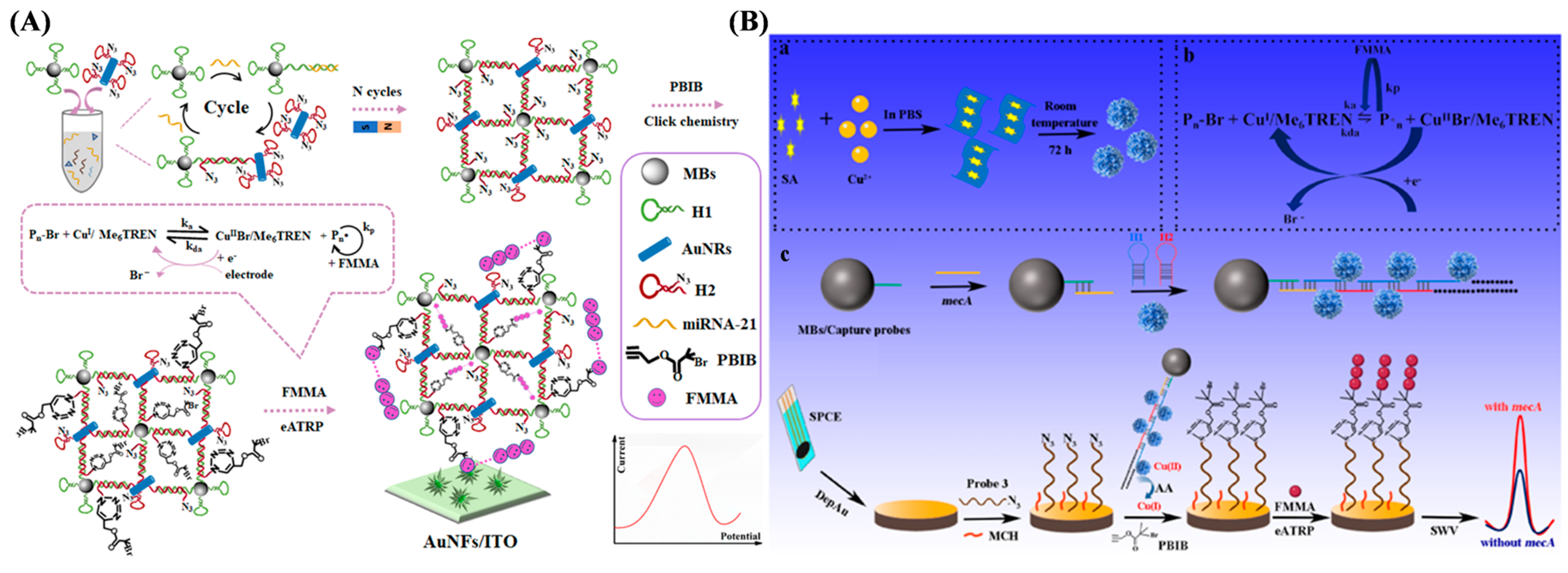 Biosensors 15 00752 g015