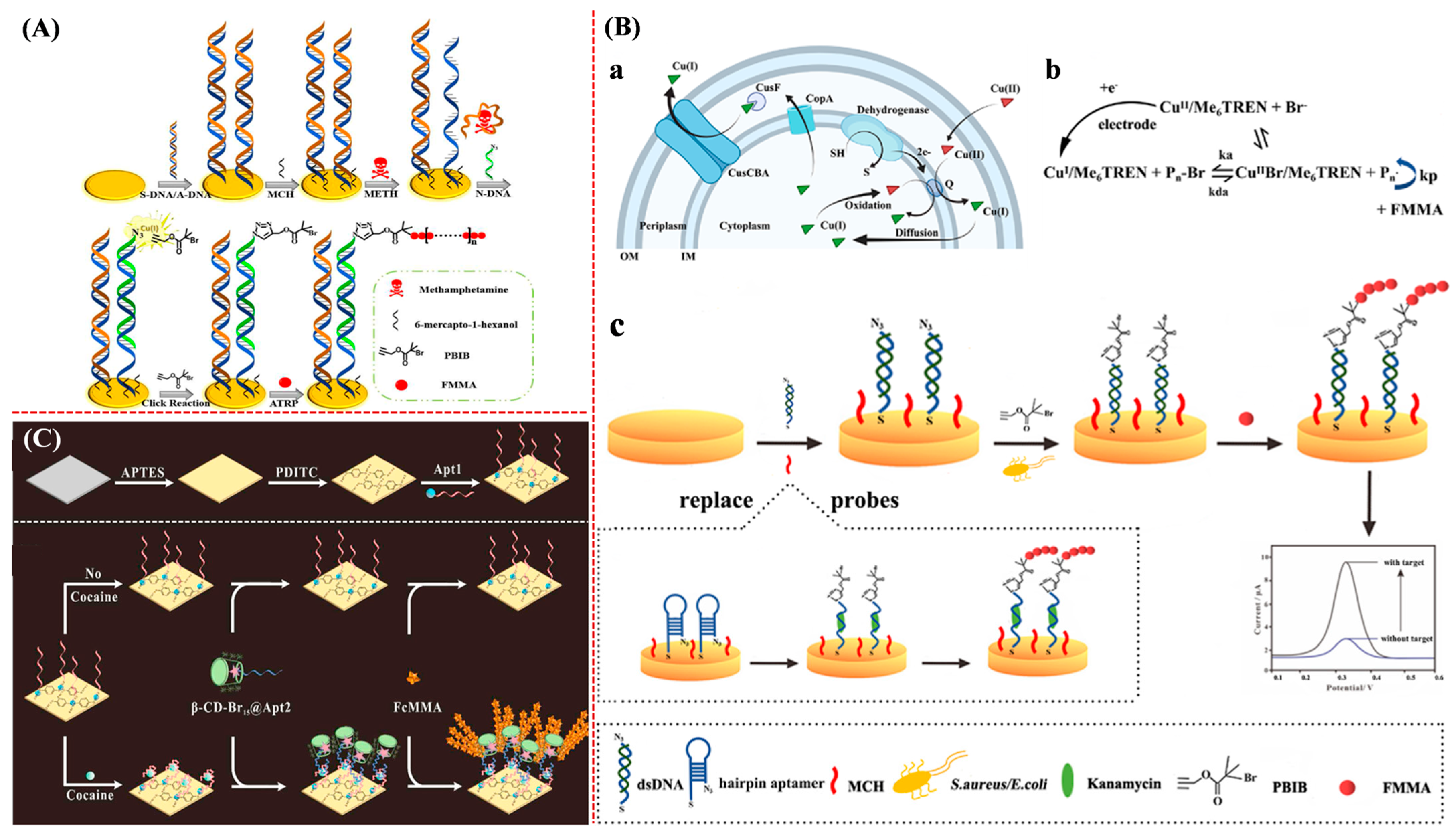 Biosensors 15 00752 g016