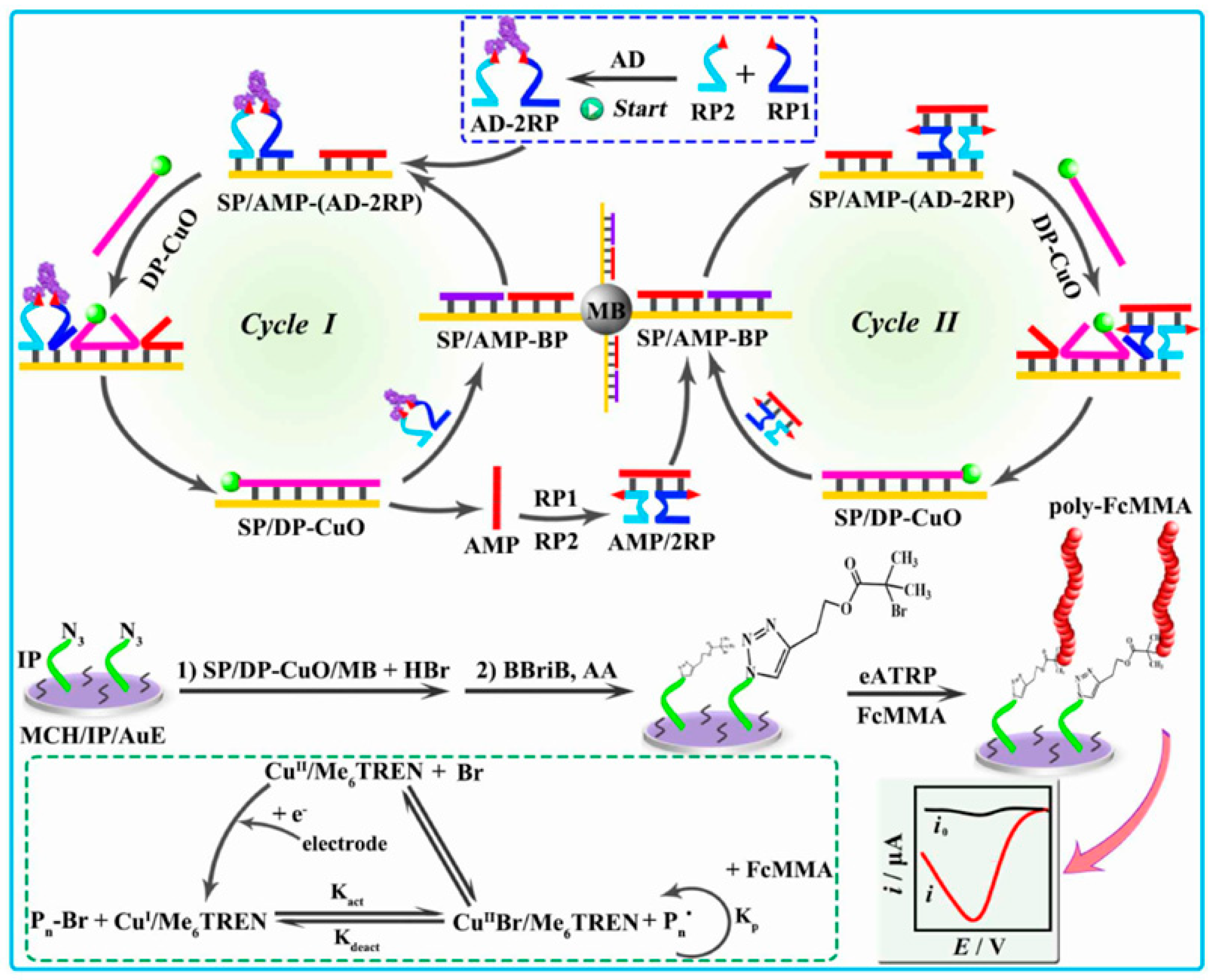 Biosensors 15 00752 g018