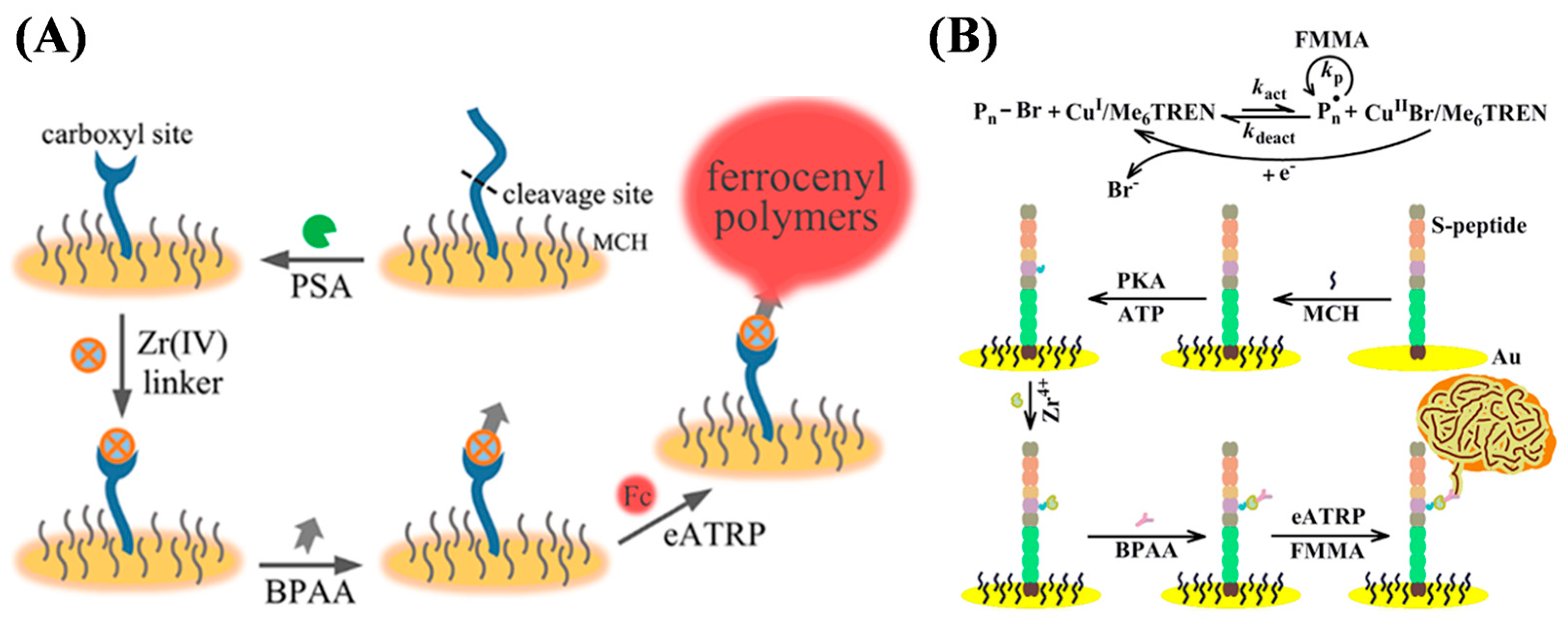 Biosensors 15 00752 g019