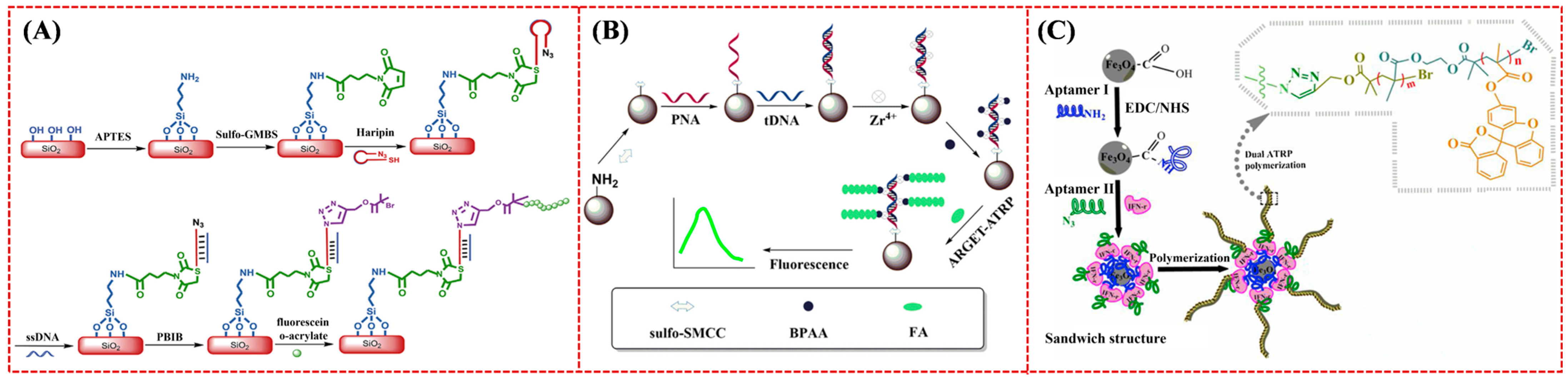 Biosensors 15 00752 g023