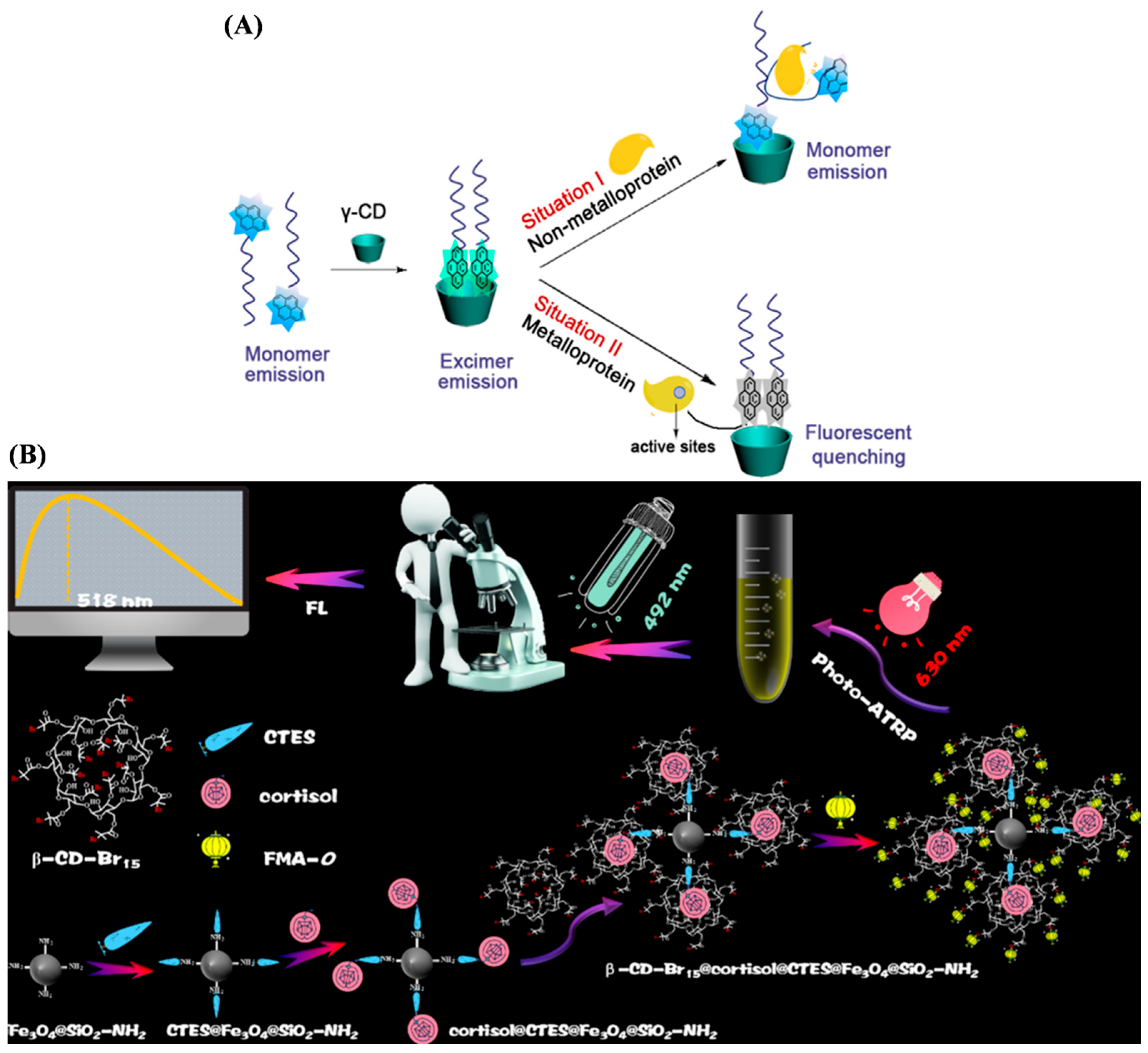 Biosensors 15 00752 g025