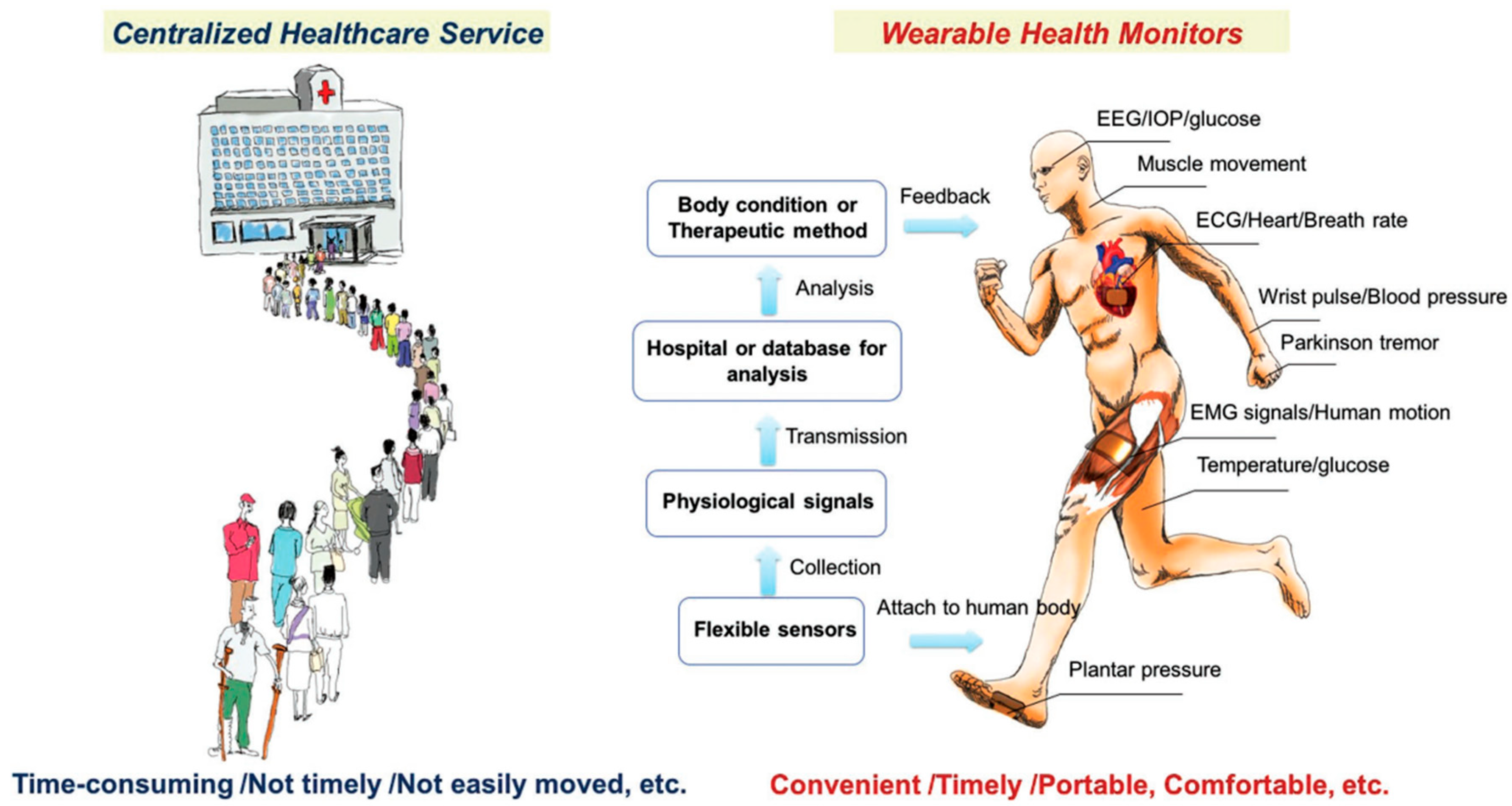 Biosensors 15 00756 g001