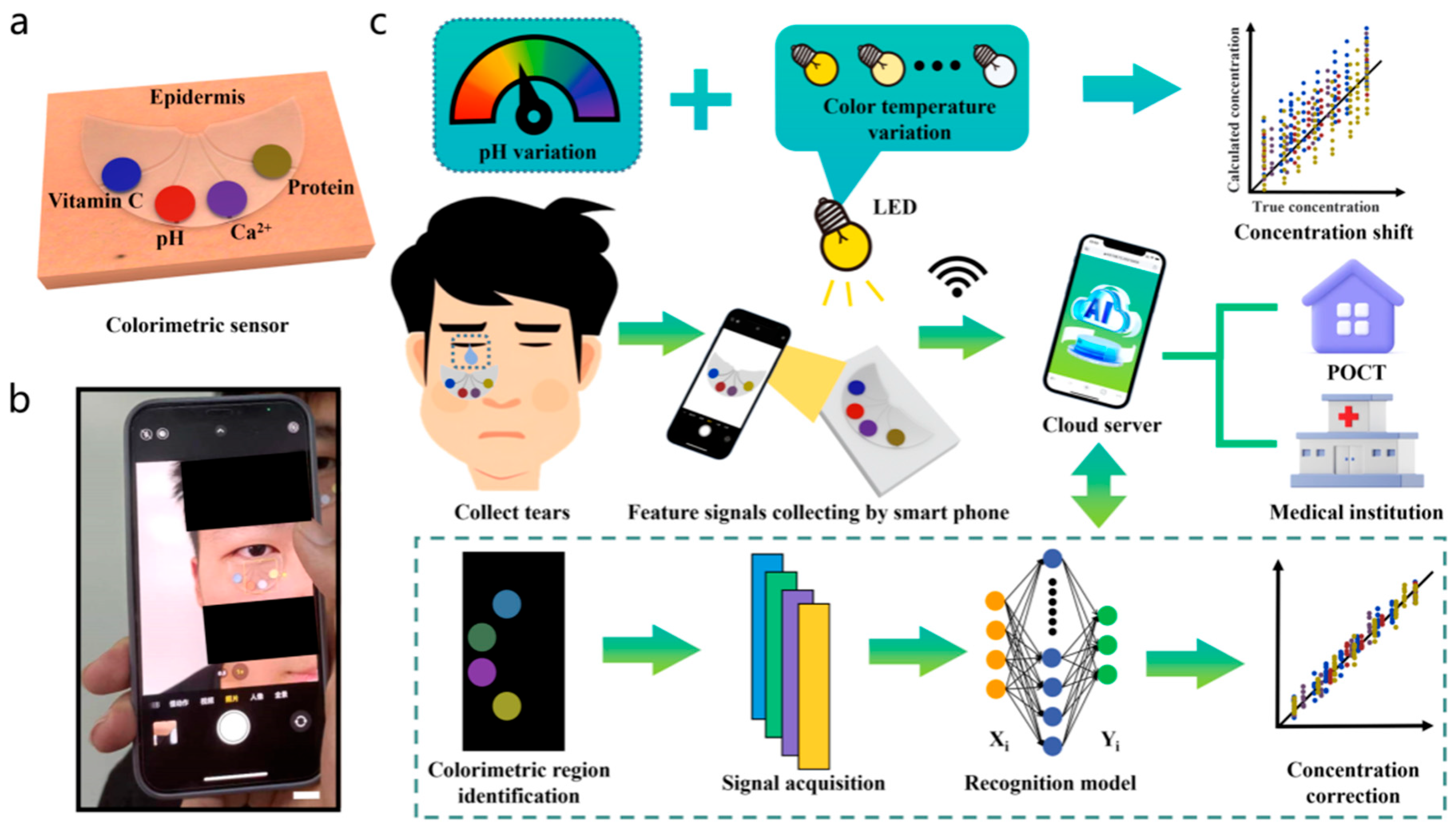 Biosensors 15 00756 g003