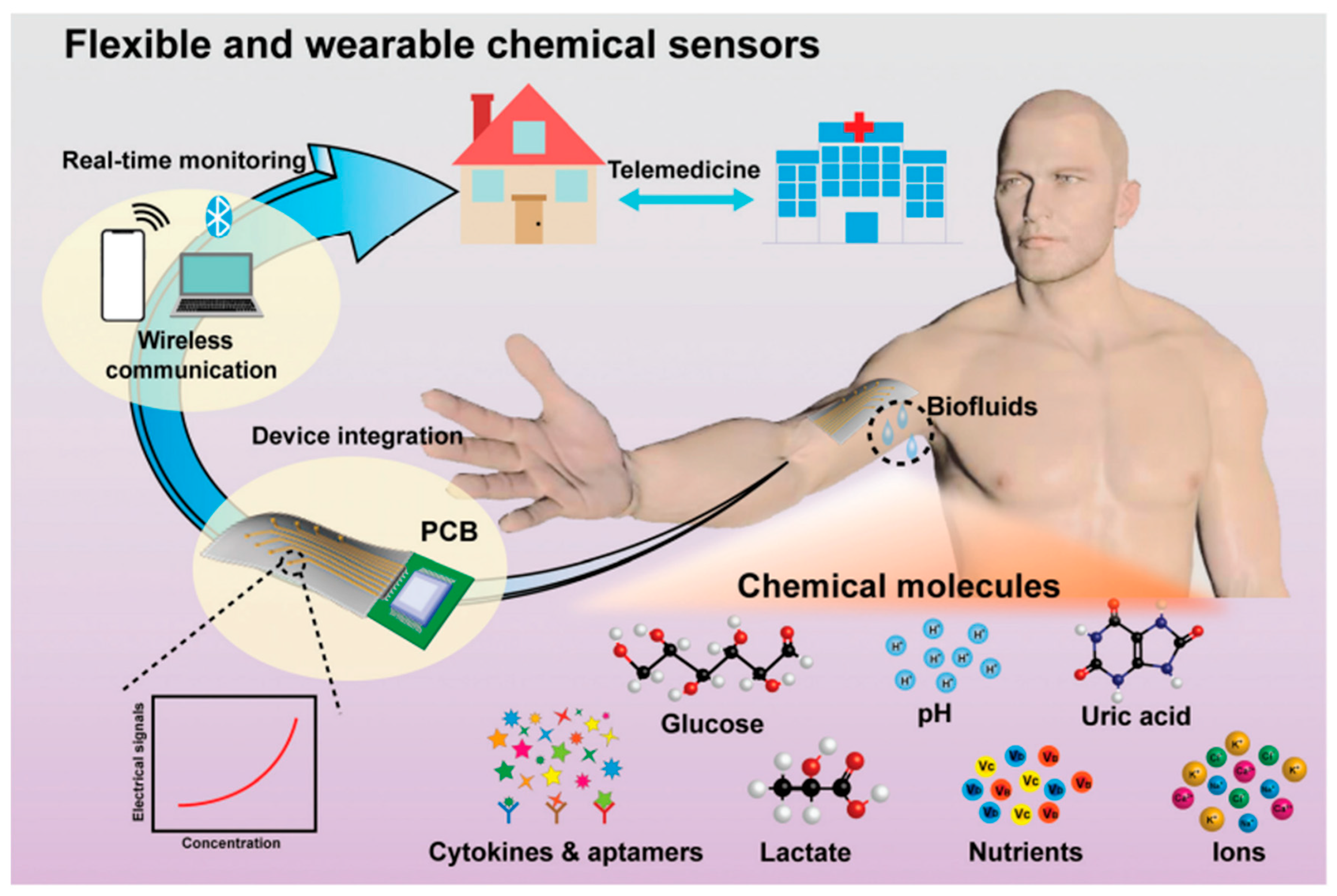 Biosensors 15 00756 g004