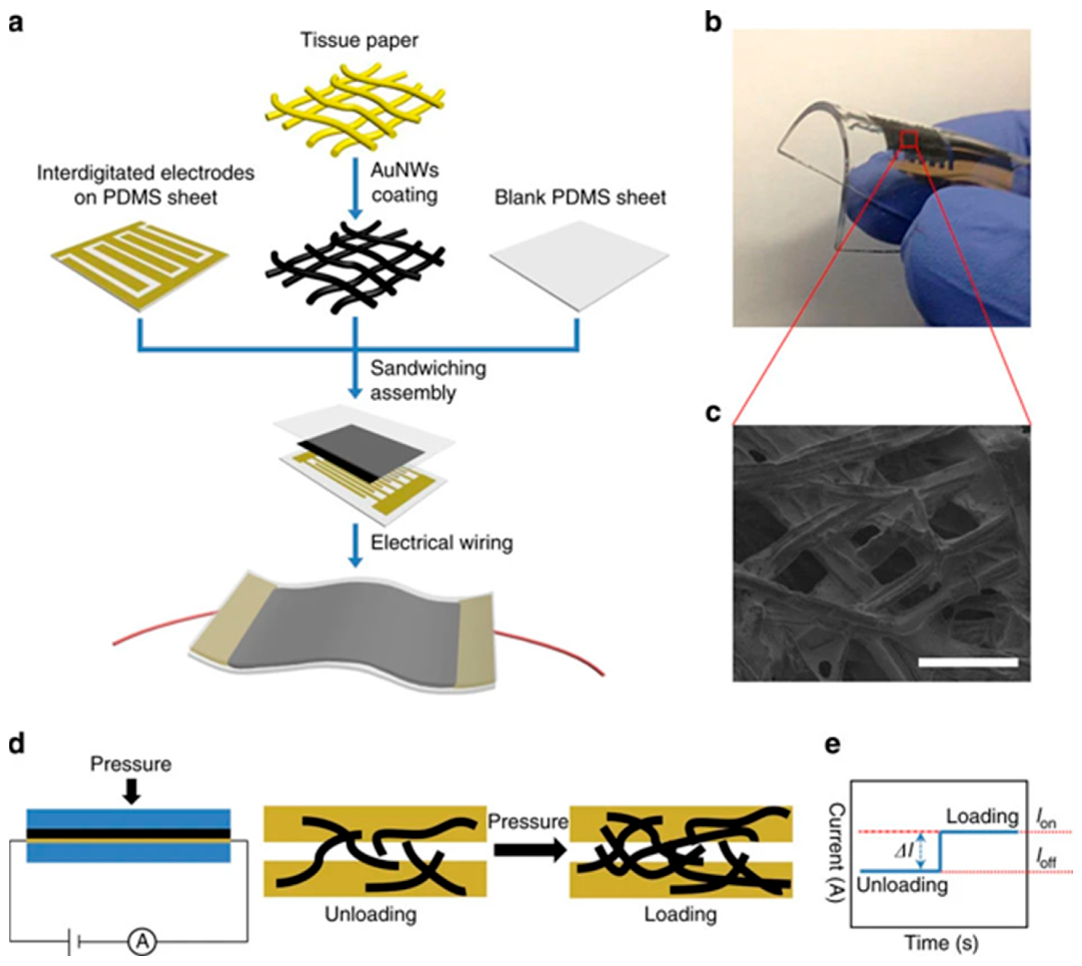 Biosensors 15 00756 g005