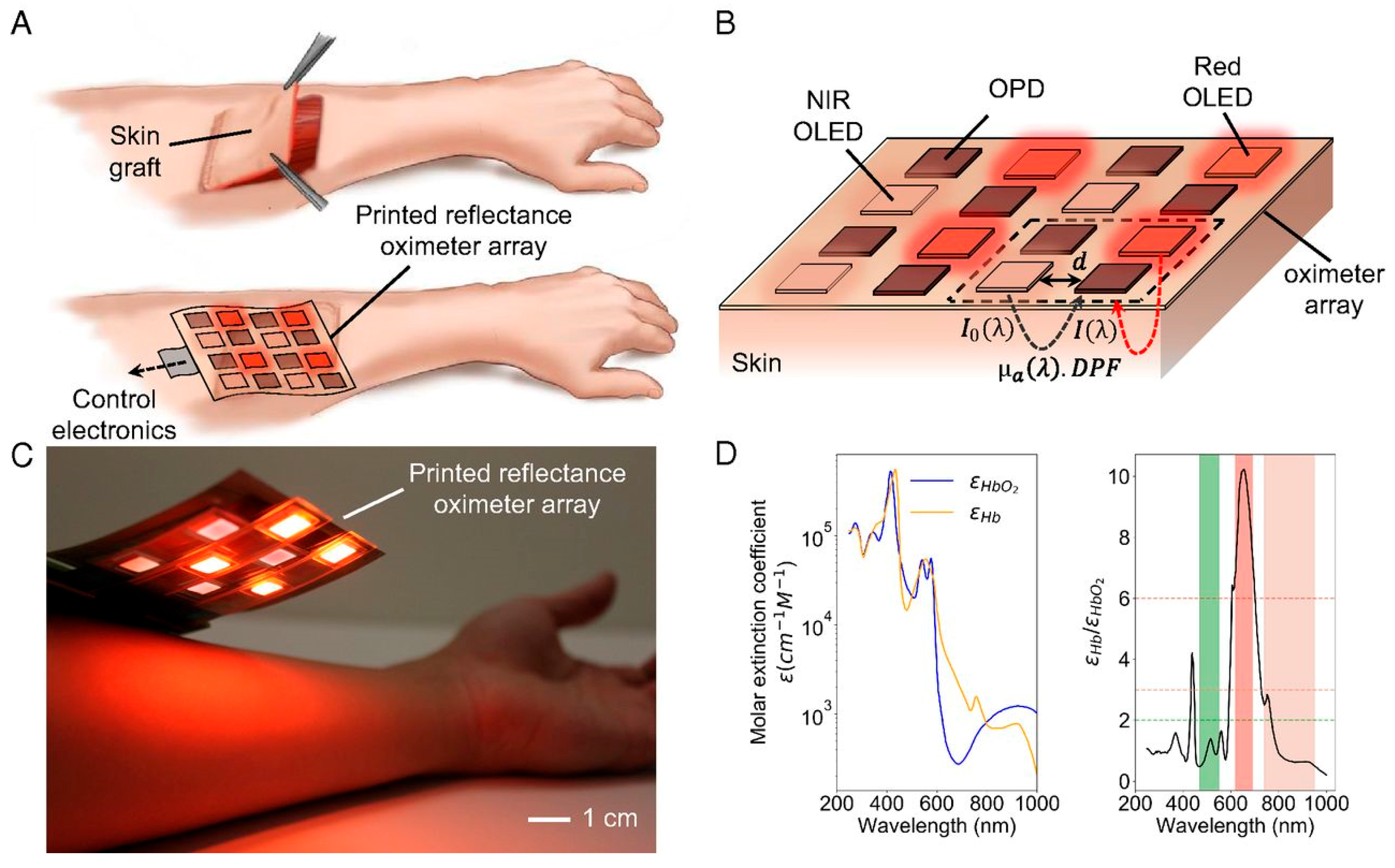 Biosensors 15 00756 g007