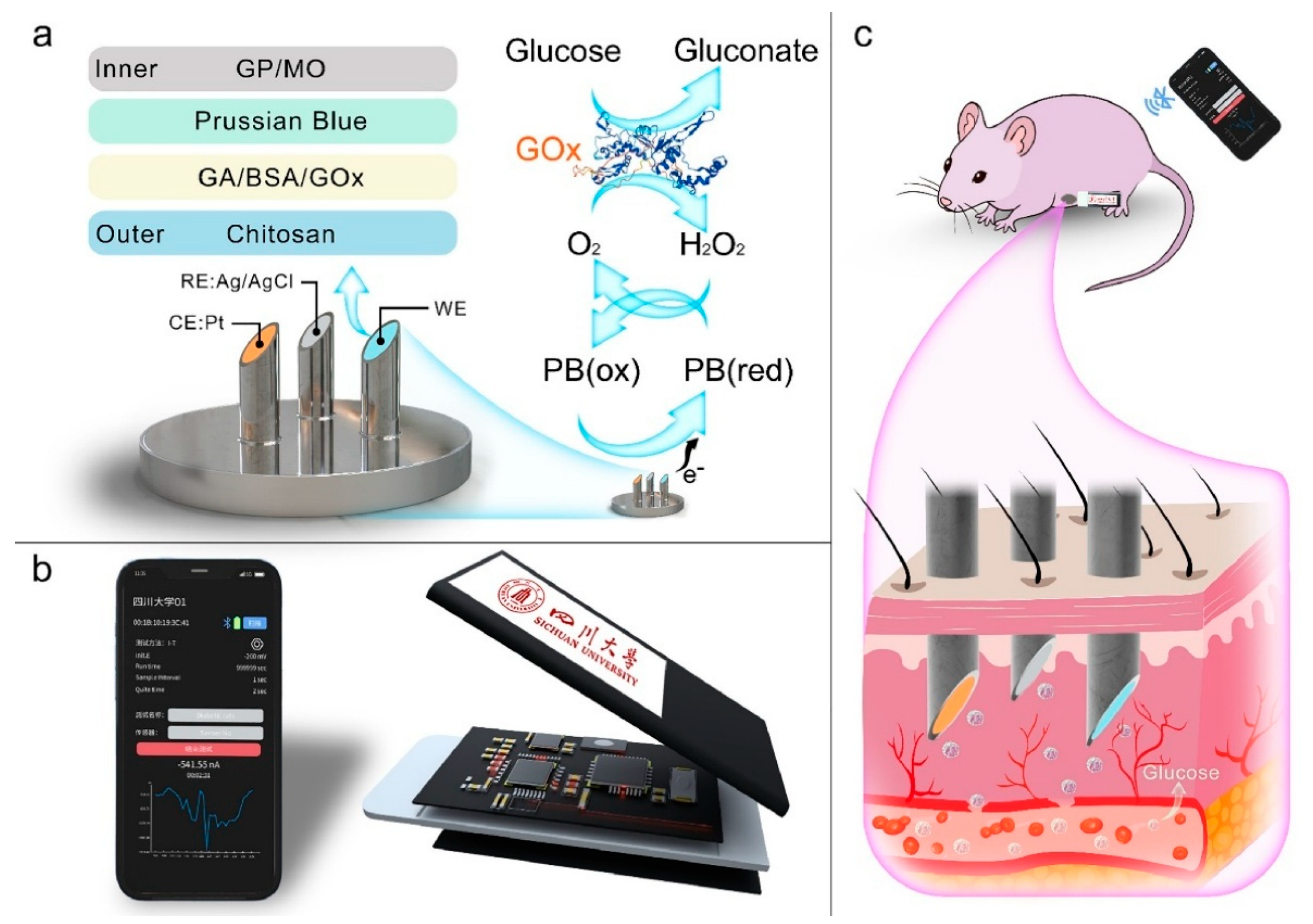 Biosensors 15 00756 g011