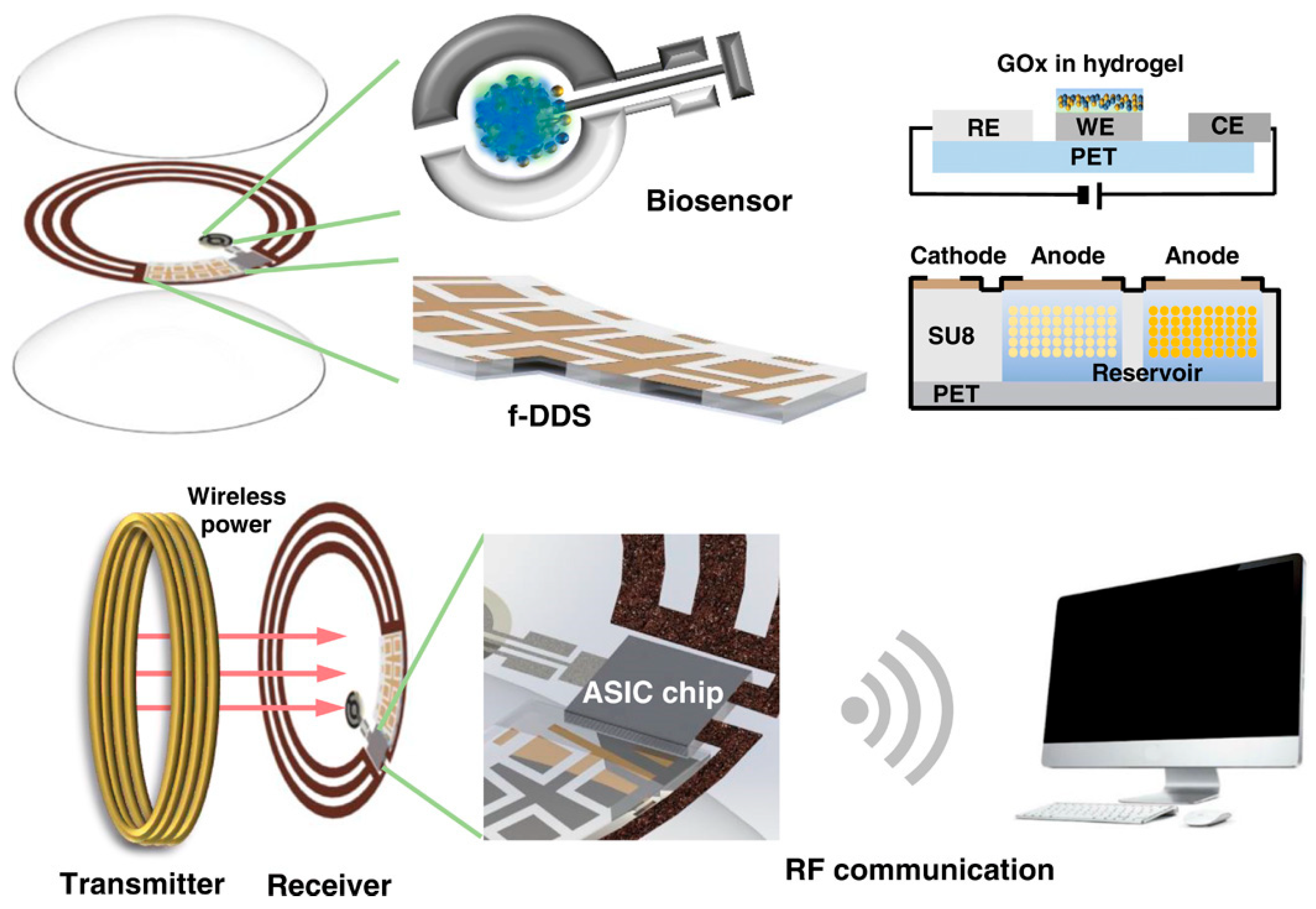Biosensors 15 00756 g012