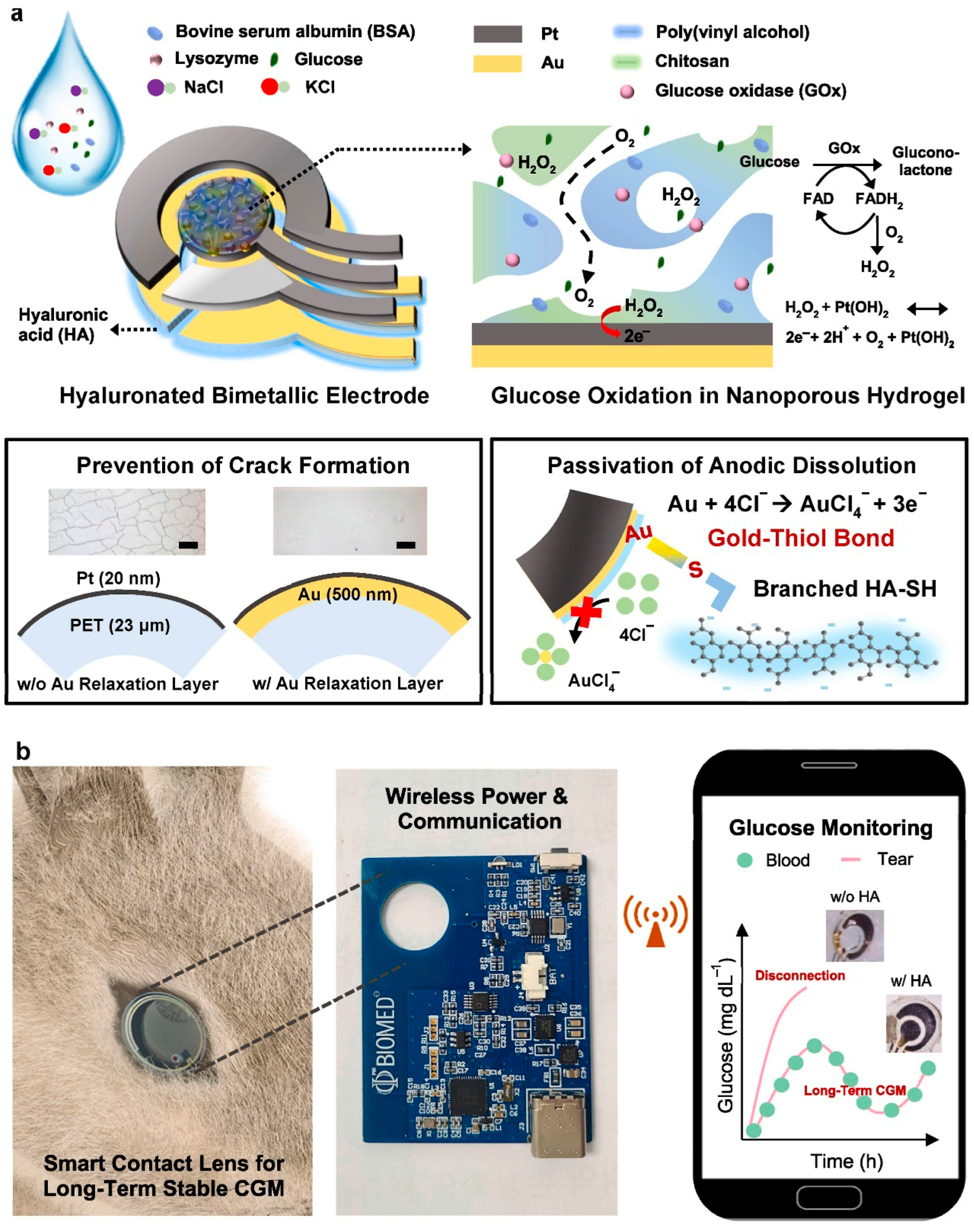 Biosensors 15 00756 g013