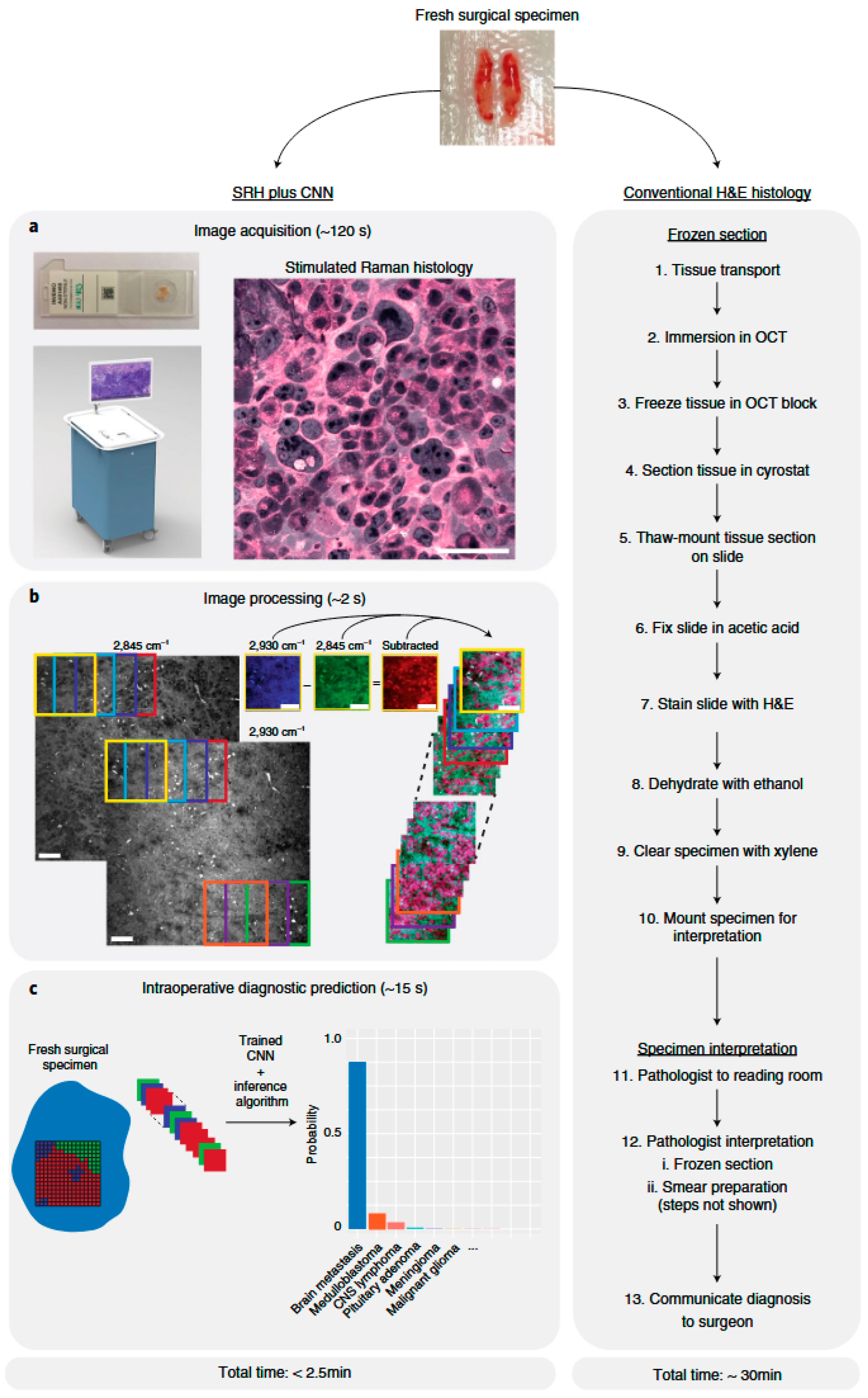 Biosensors 15 00756 g019