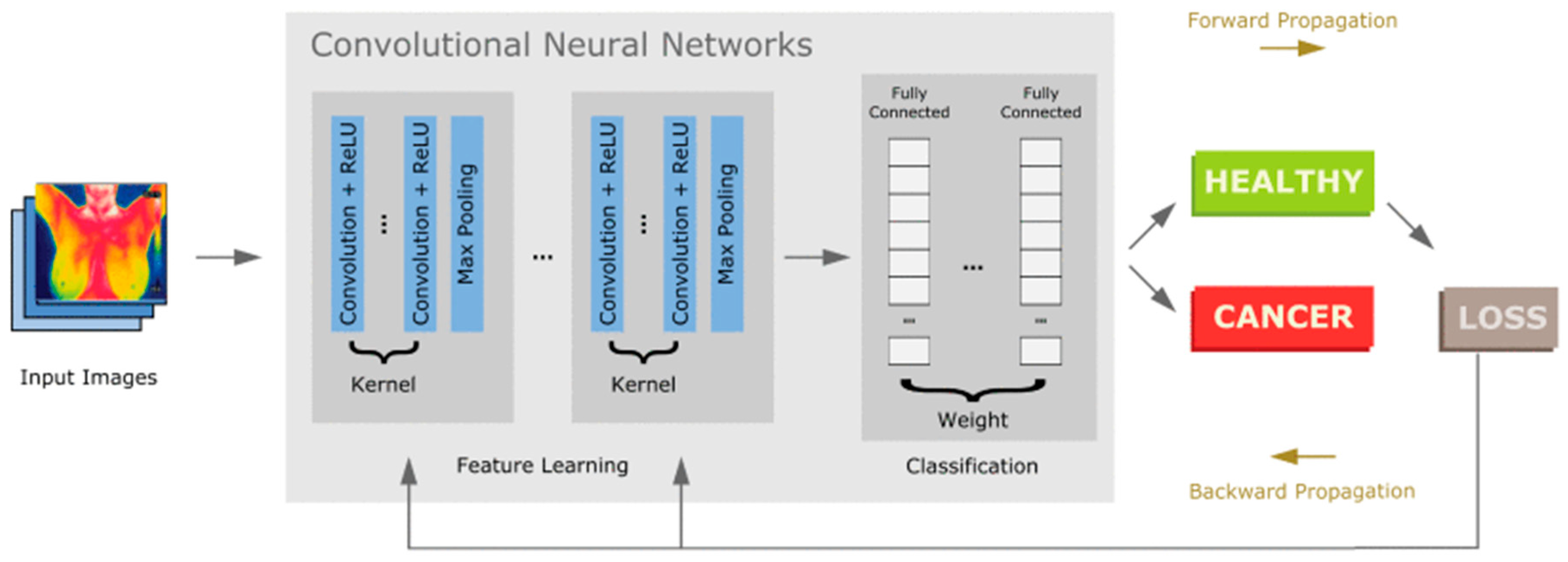 Biosensors 15 00756 g020