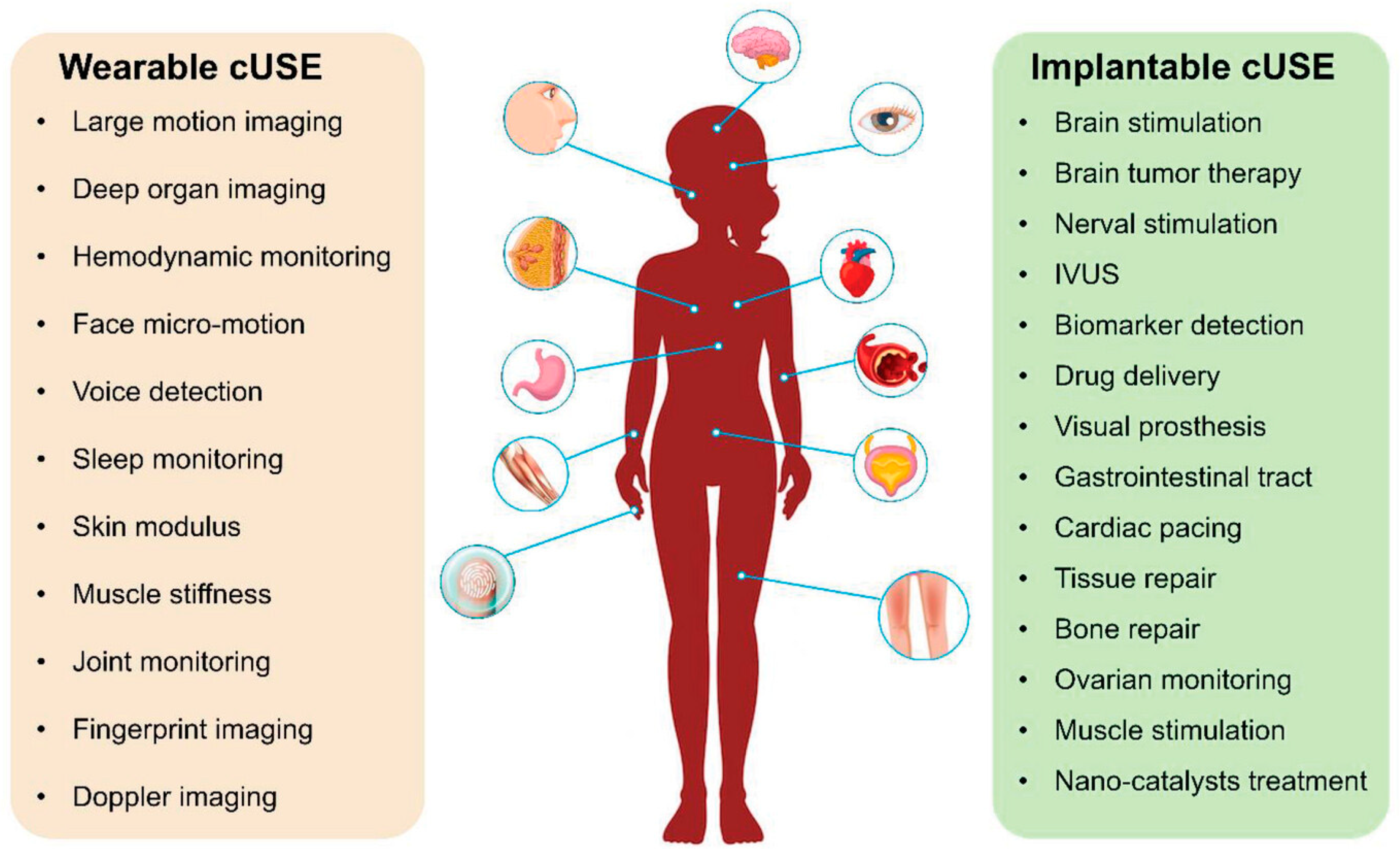 Biosensors 15 00756 g021