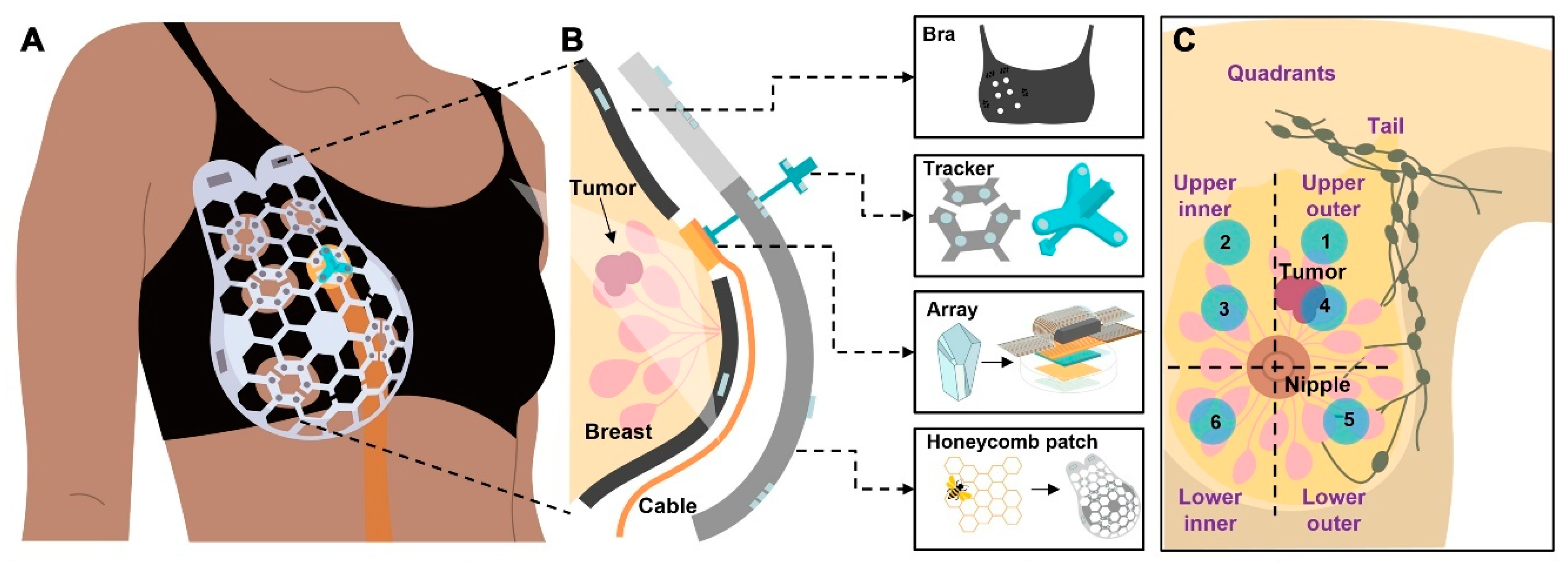 Biosensors 15 00756 g022