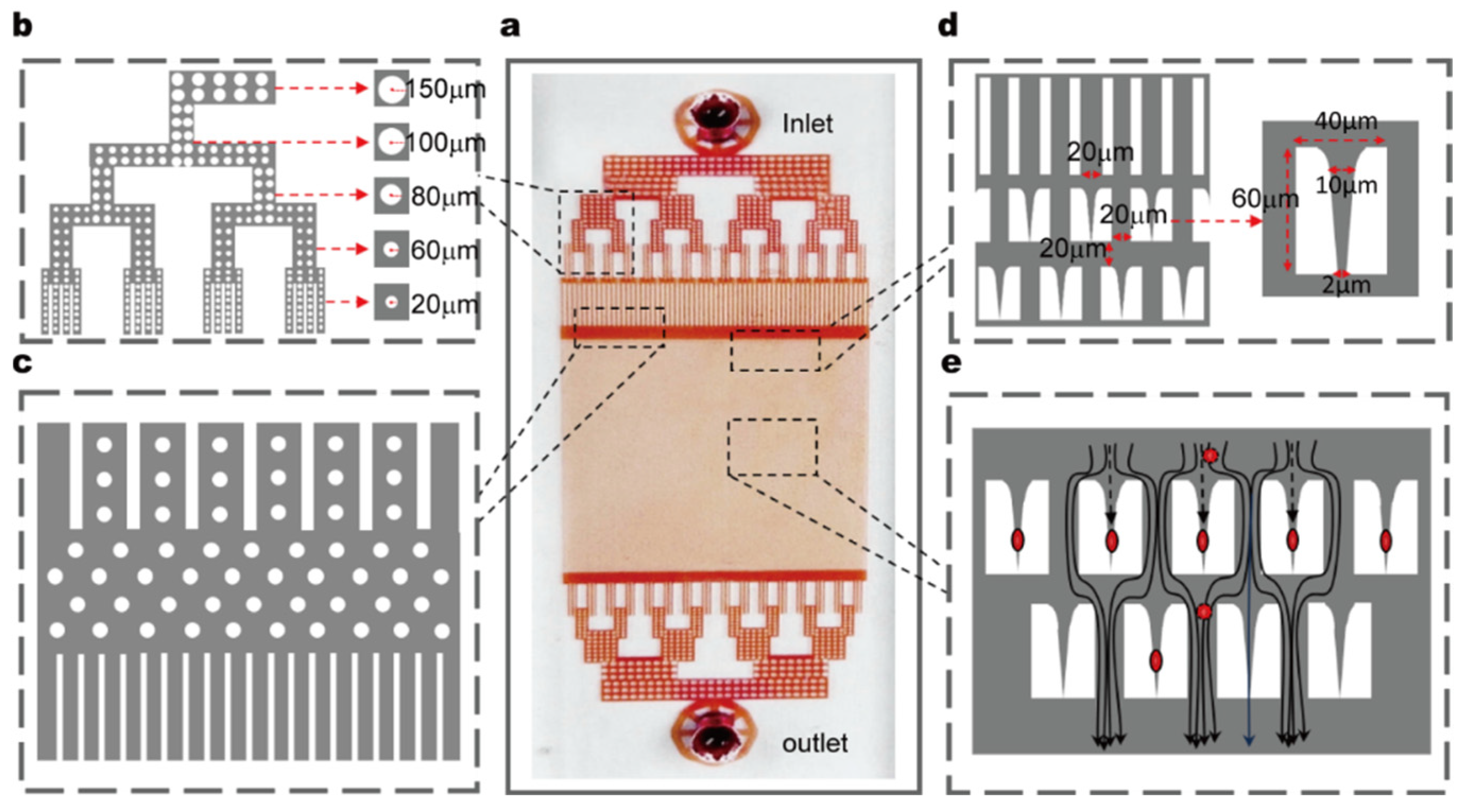 Biosensors 15 00758 g002