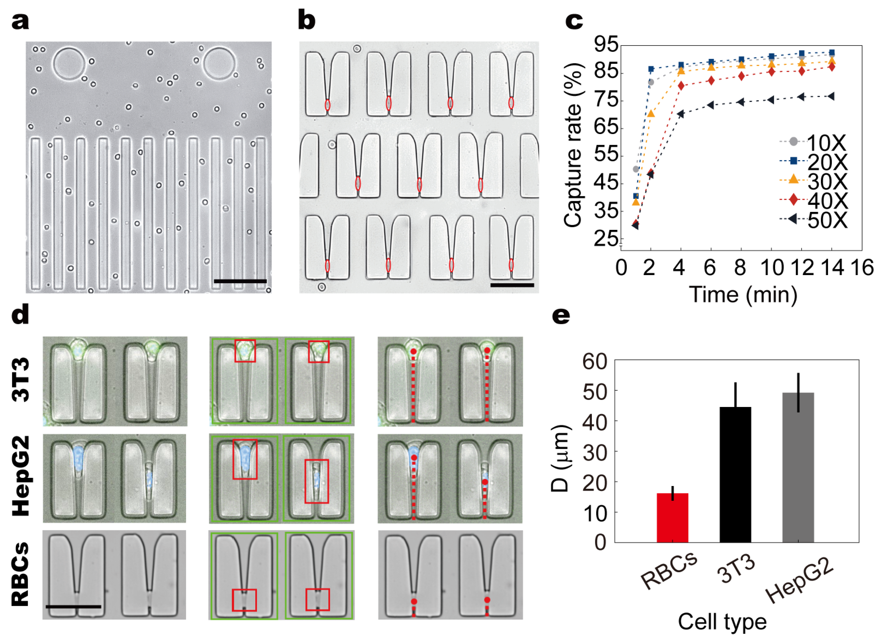 Biosensors 15 00758 g004