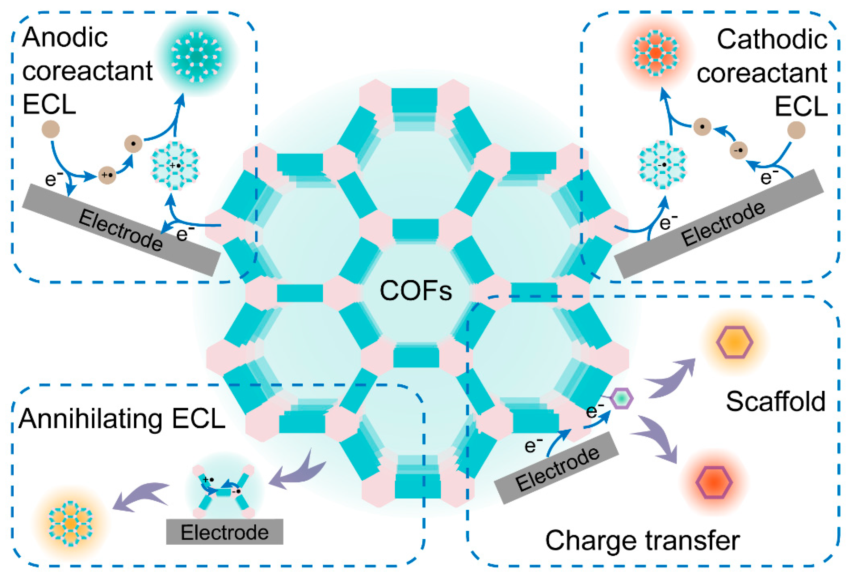 Biosensors 15 00760 g002