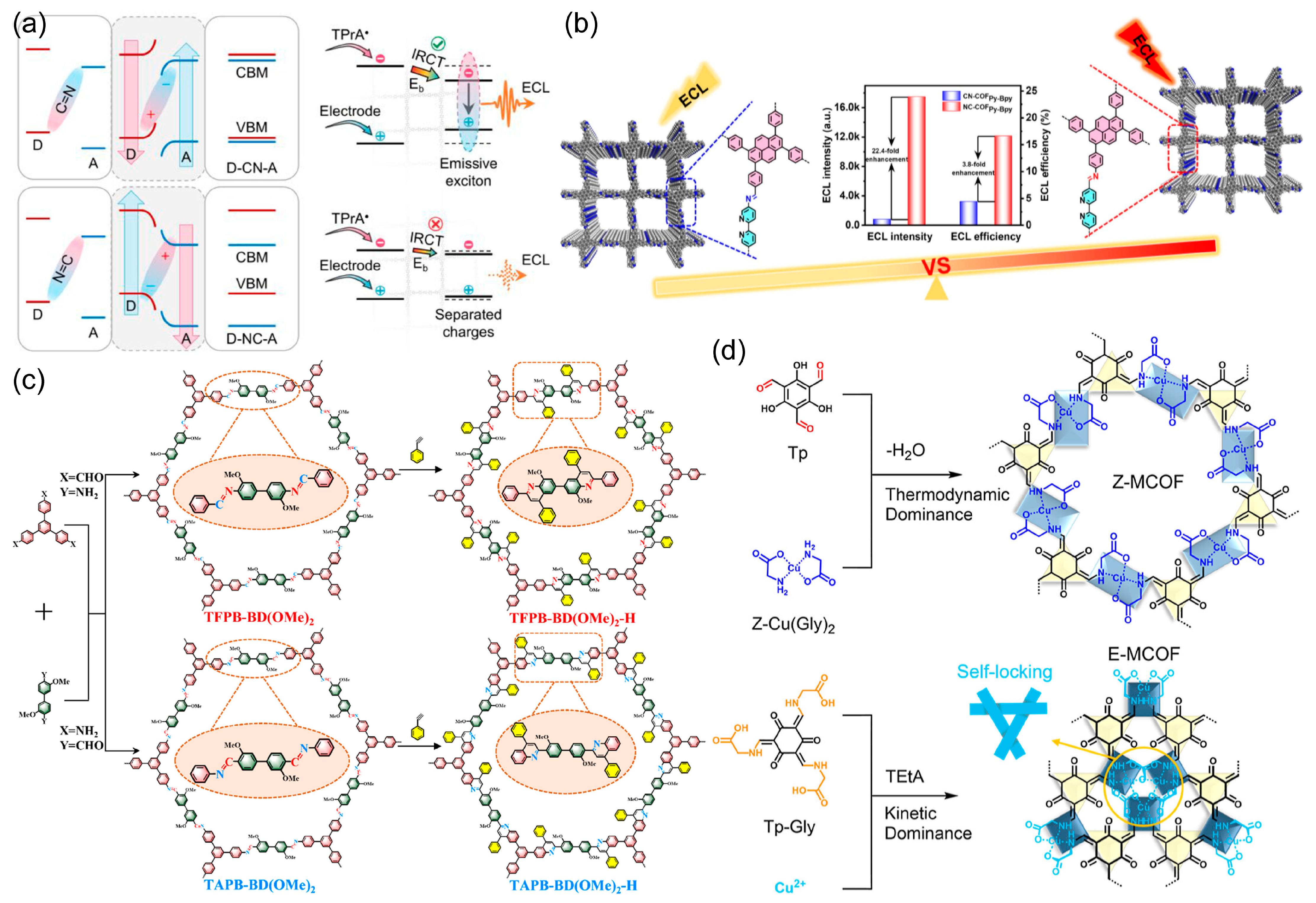 Biosensors 15 00760 g010