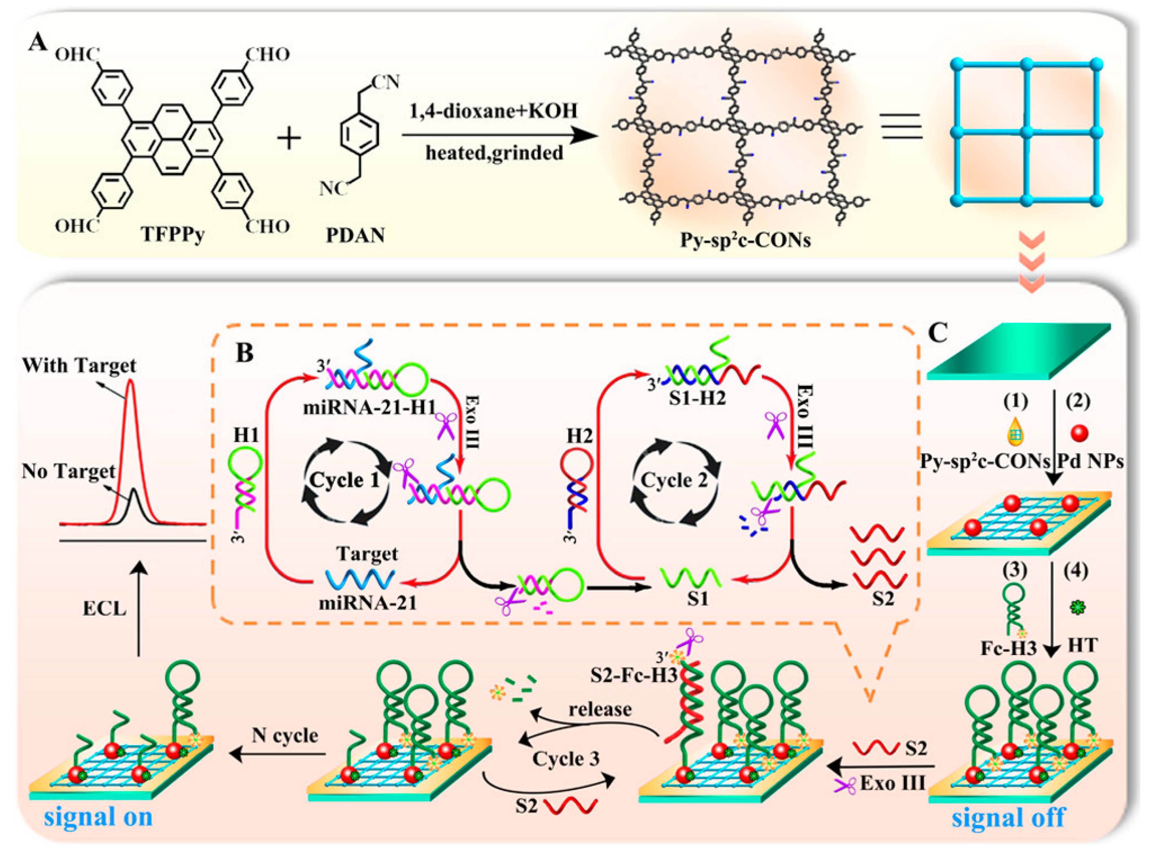 Biosensors 15 00760 g012