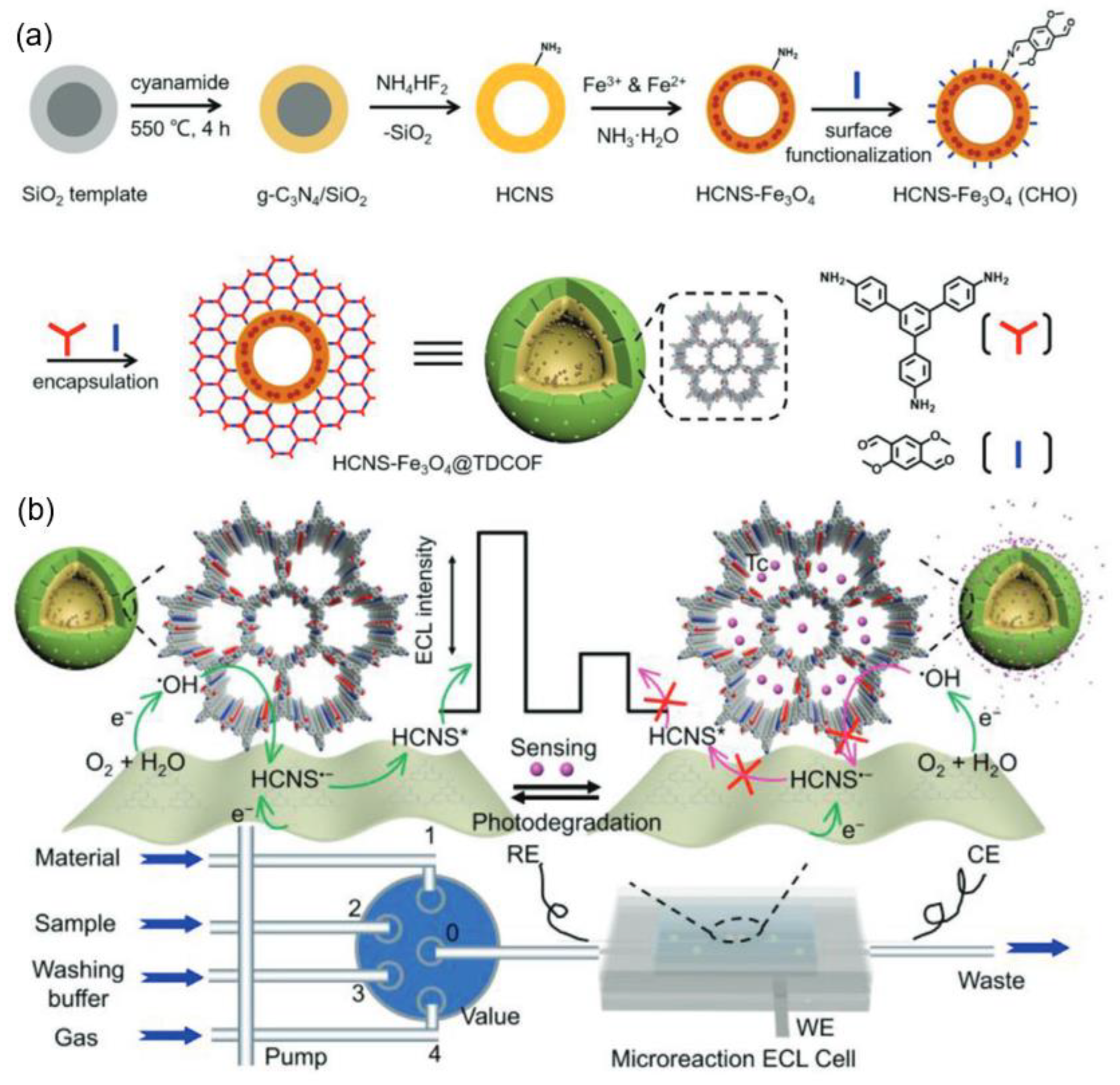 Biosensors 15 00760 g013