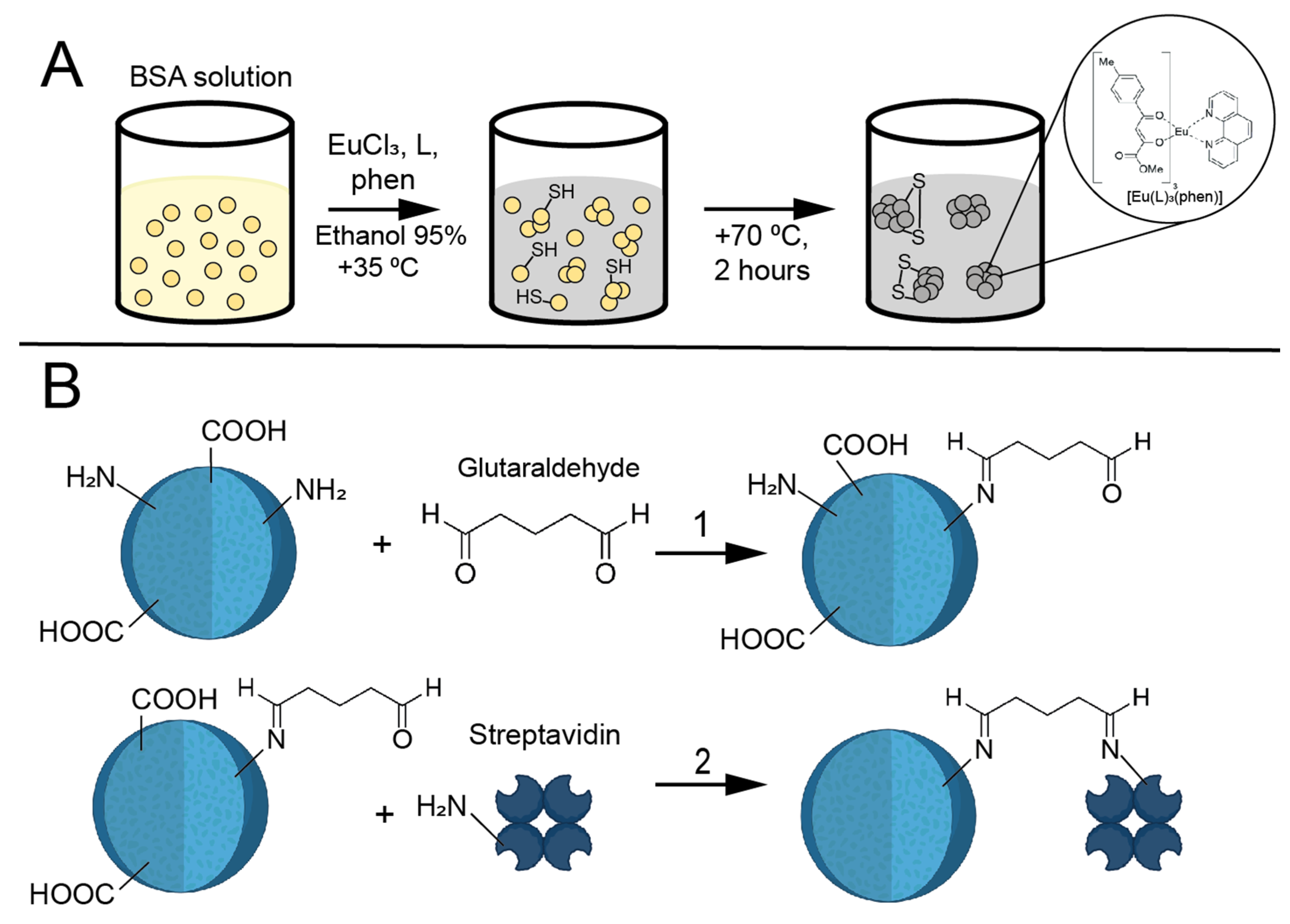 Biosensors 15 00761 g001 Biosensors 15 00761 g001