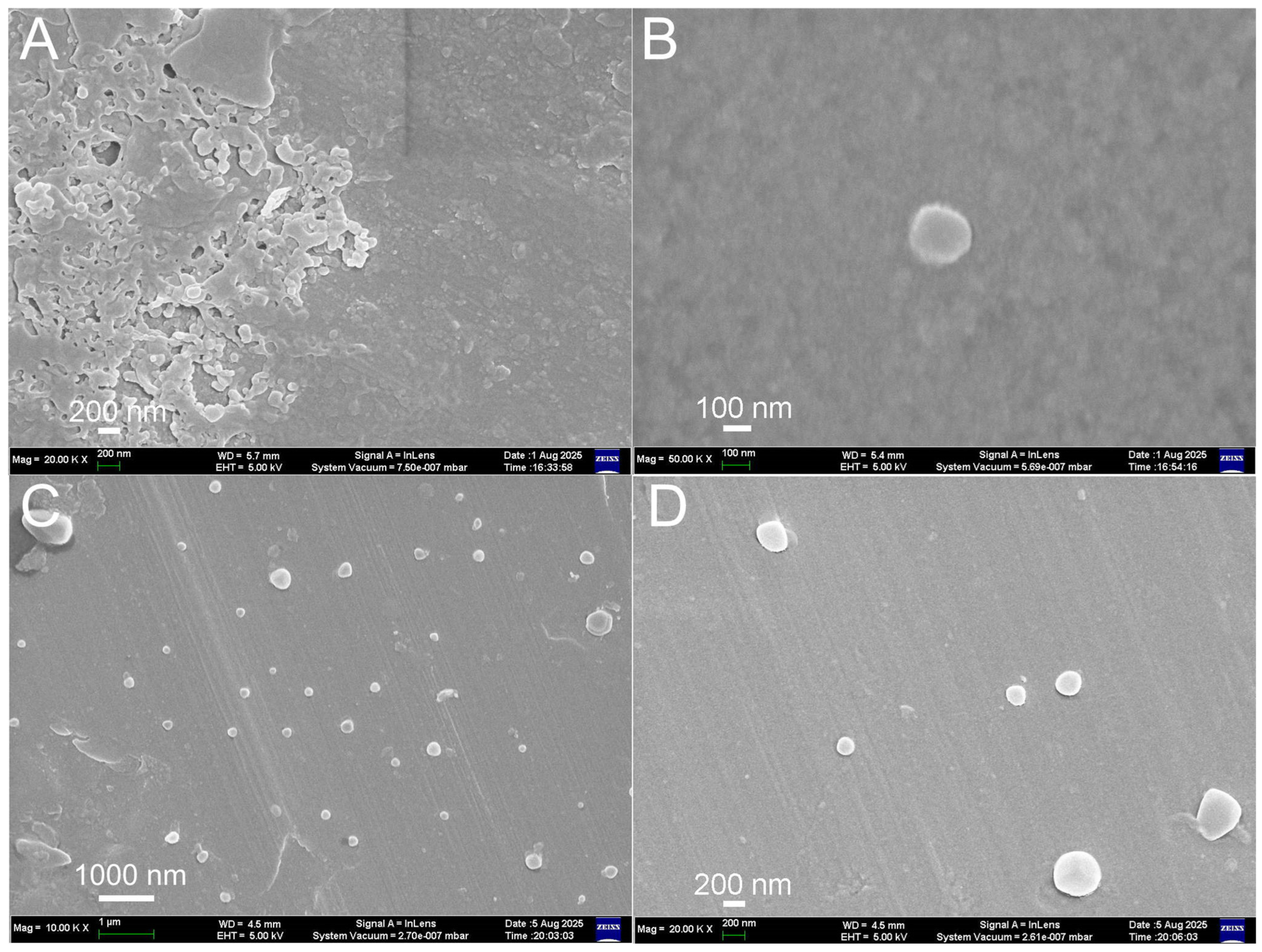 Biosensors 15 00761 g002 Biosensors 15 00761 g002