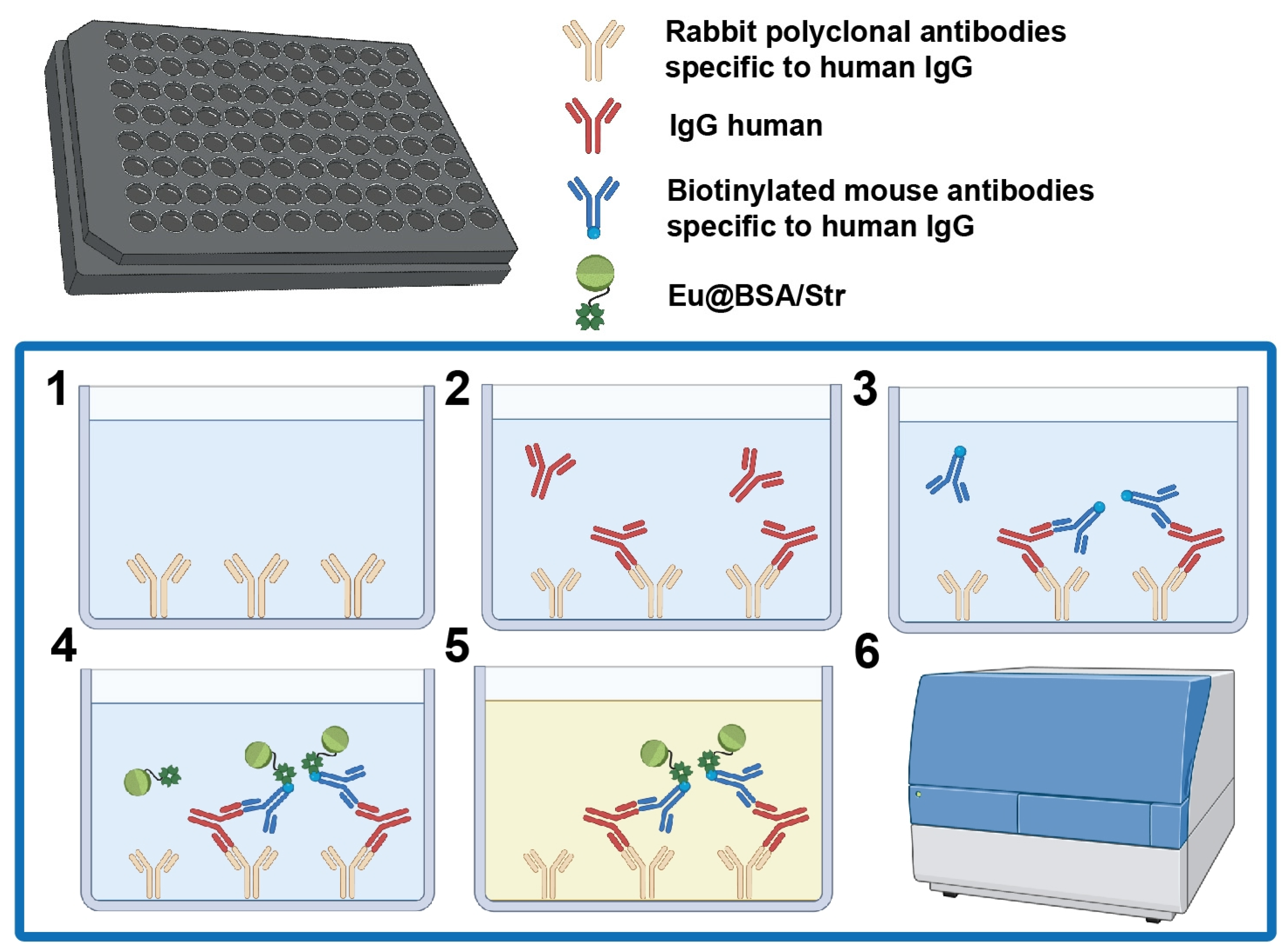 Biosensors 15 00761 g003 Biosensors 15 00761 g003