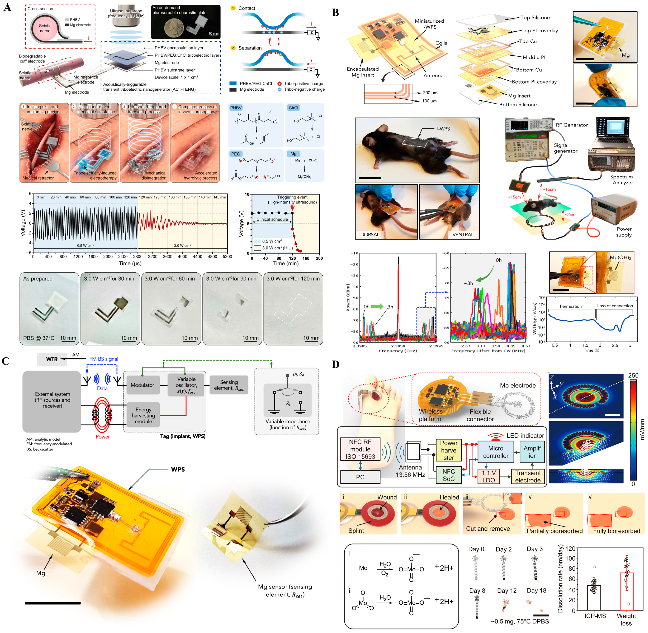 Biosensors 15 00762 g002