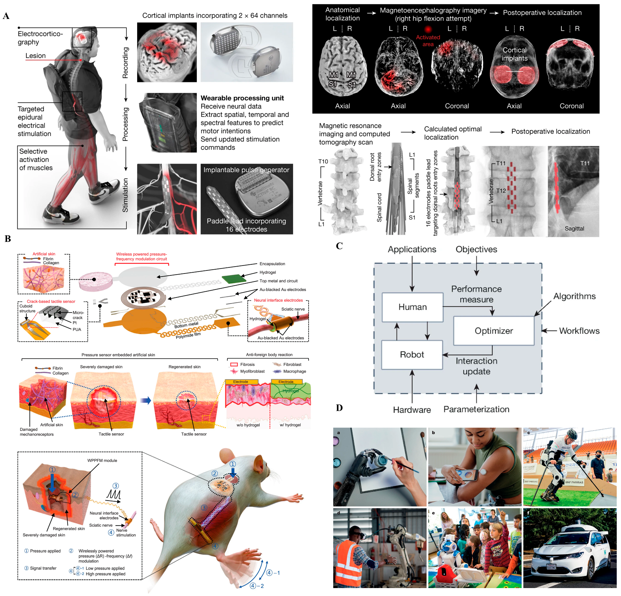 Biosensors 15 00762 g004