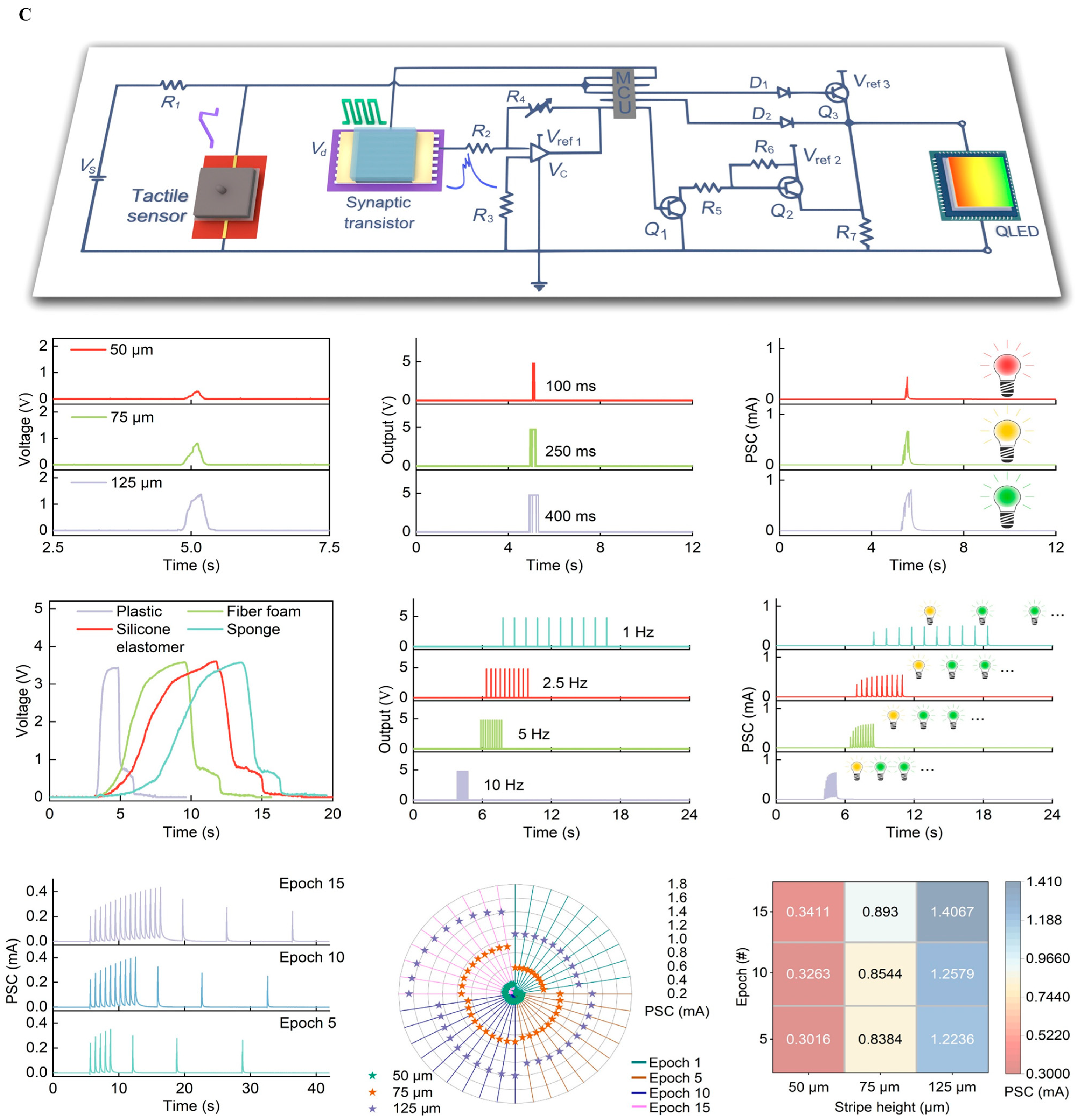 Biosensors 15 00762 g005c