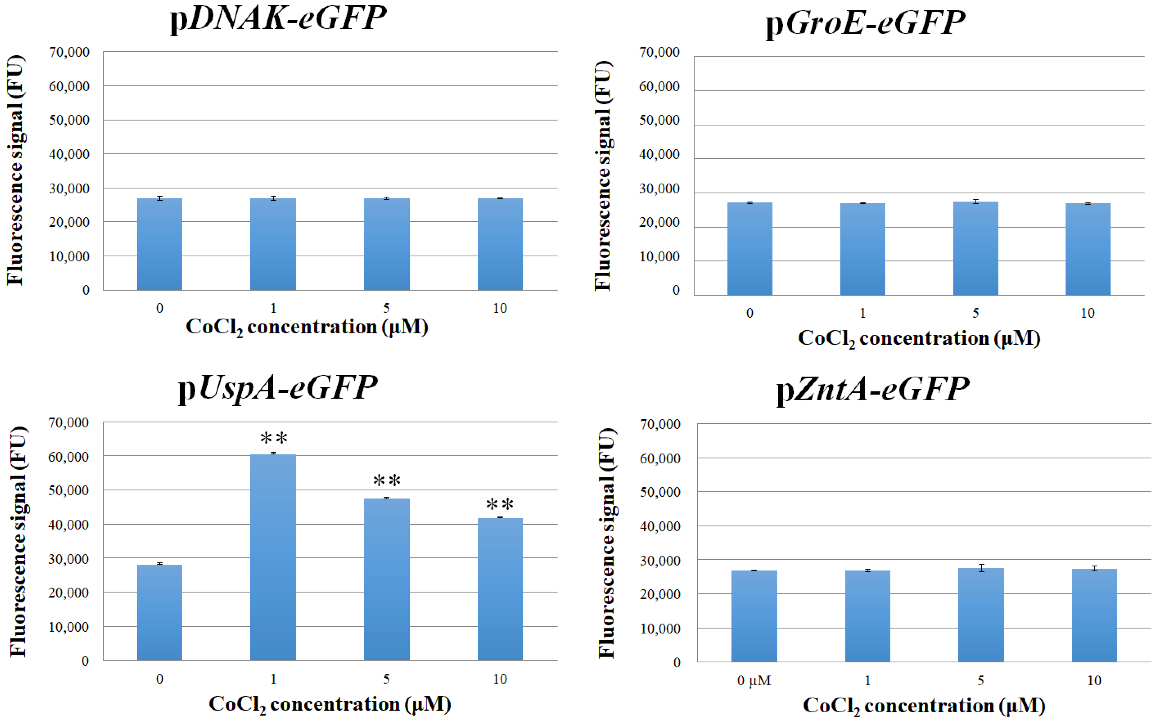 Biosensors 15 00763 g001