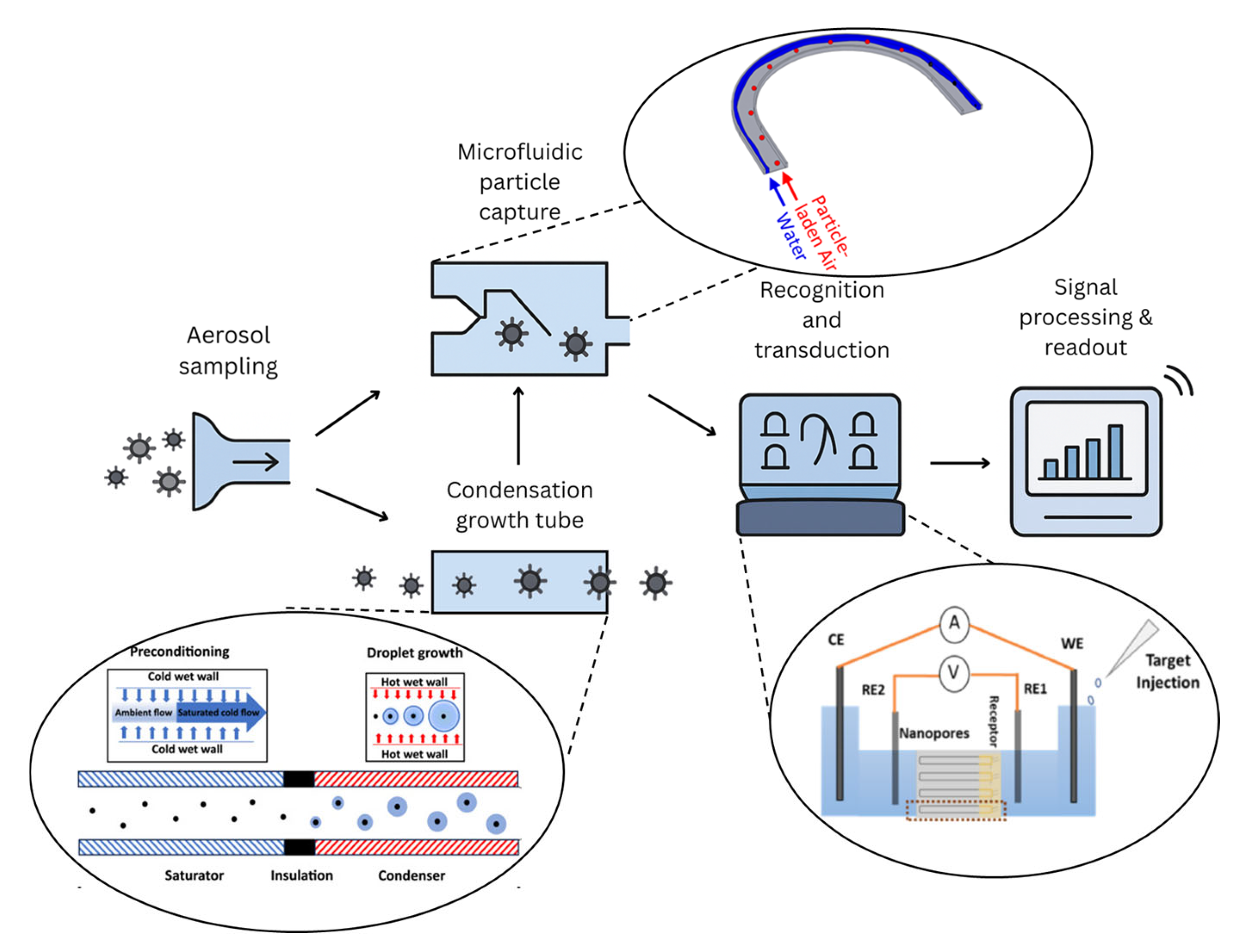 Biosensors 15 00764 g001