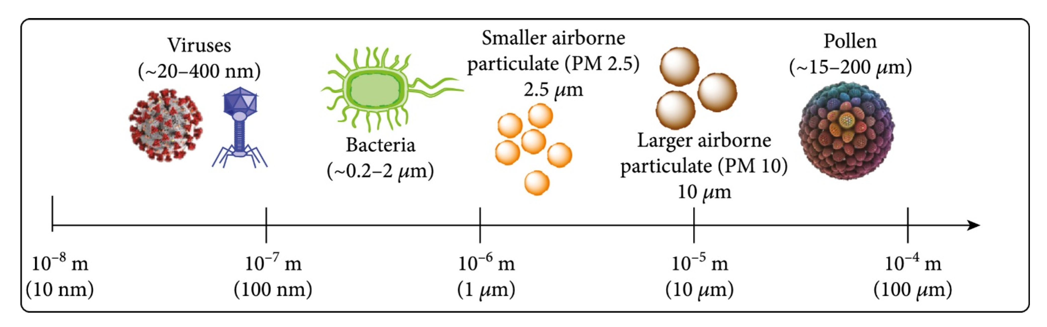 Biosensors 15 00764 g002