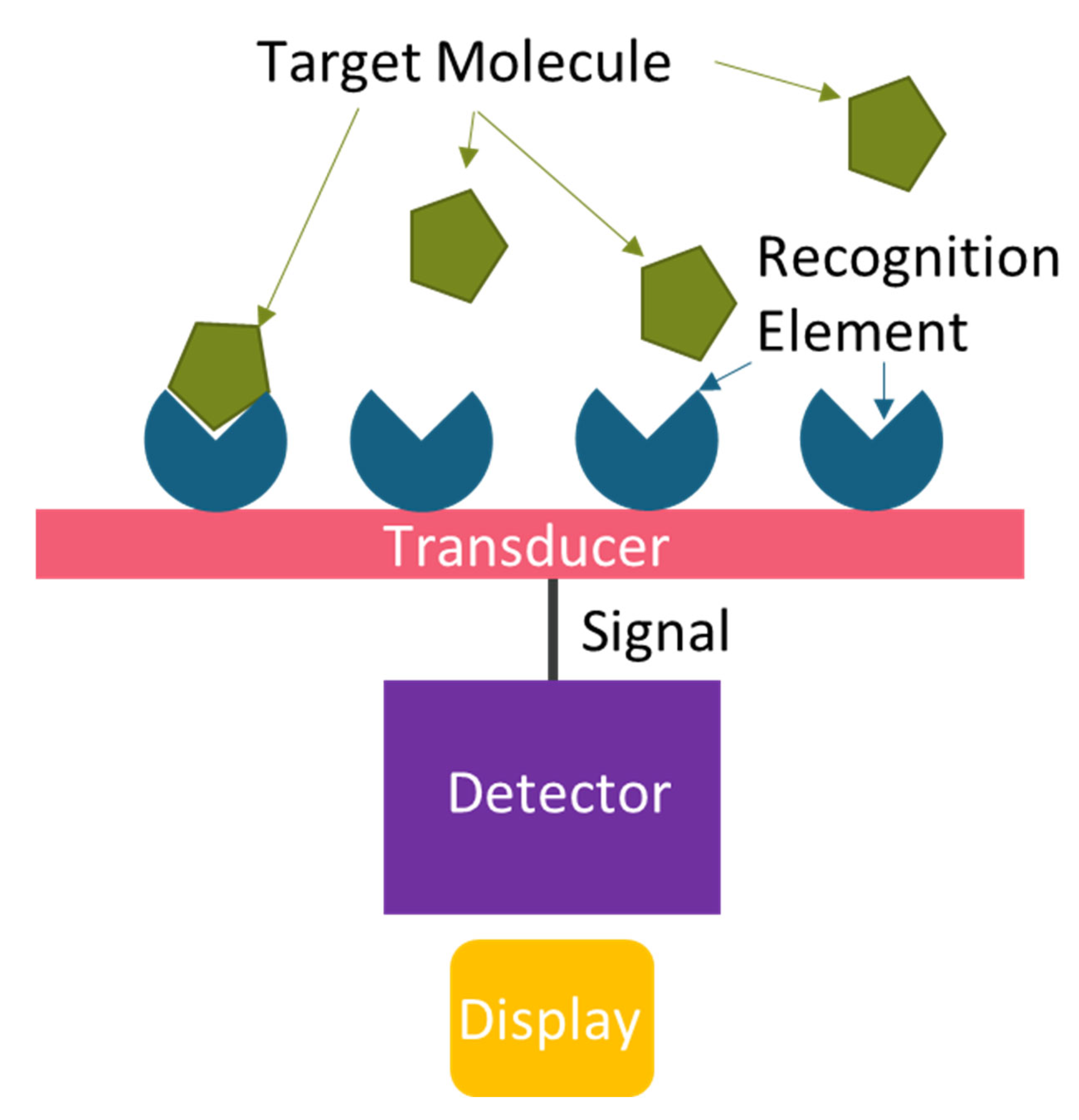 Biosensors 15 00764 g004