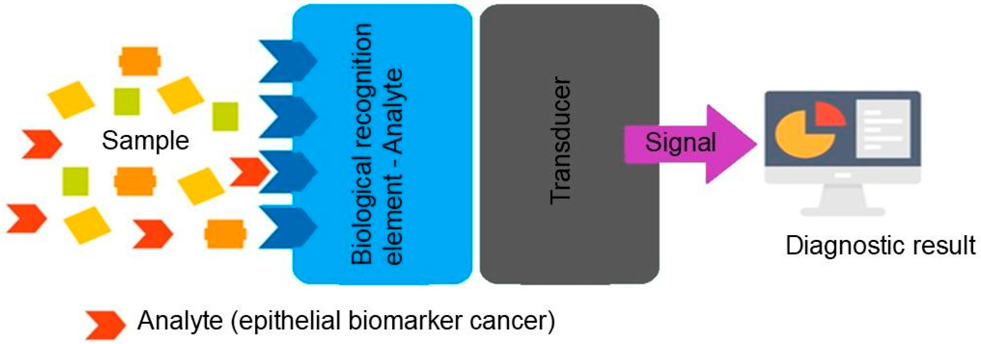 Biosensors 15 00766 g001 Biosensors 15 00766 g001