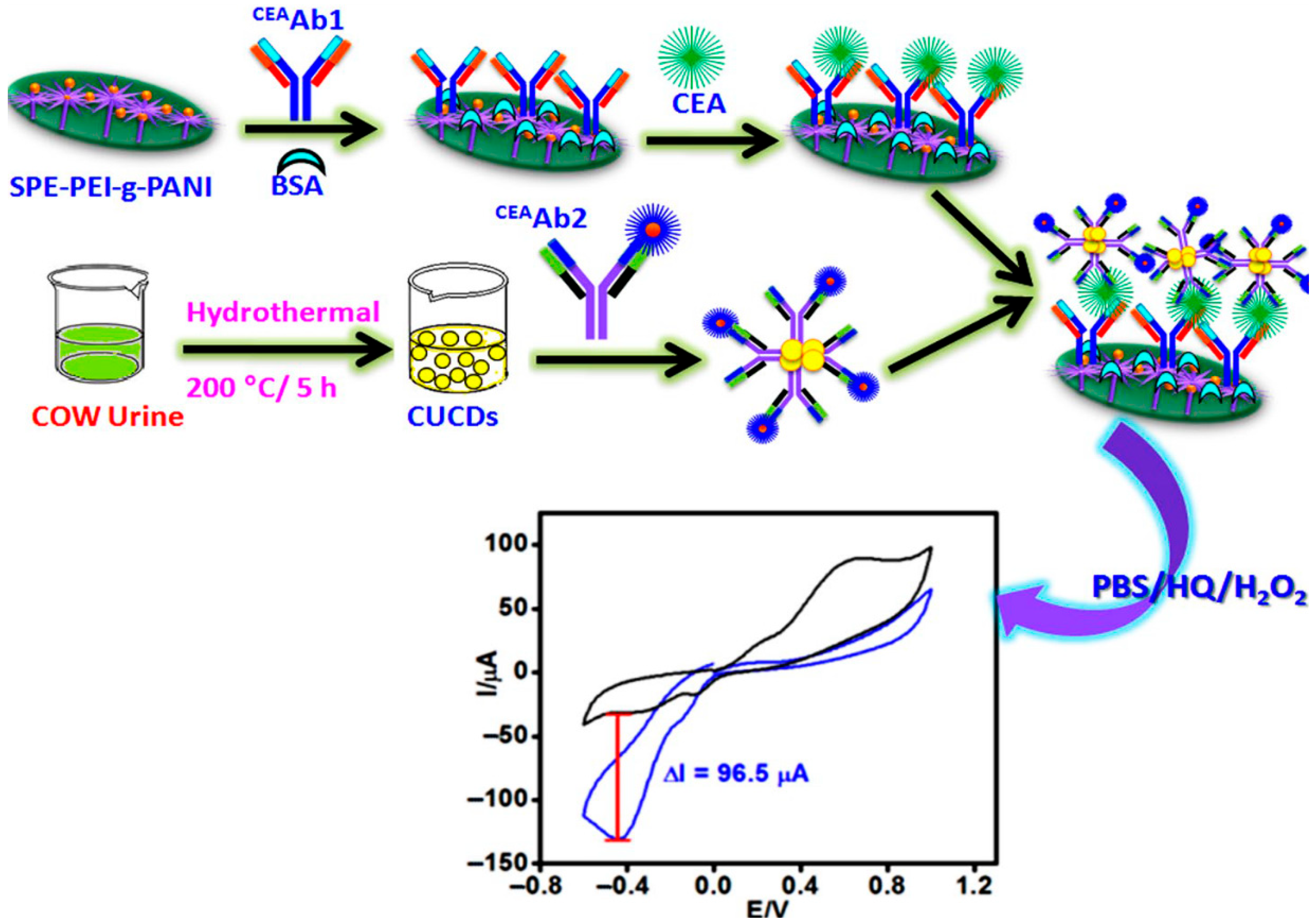 Biosensors 15 00766 g003 Biosensors 15 00766 g003