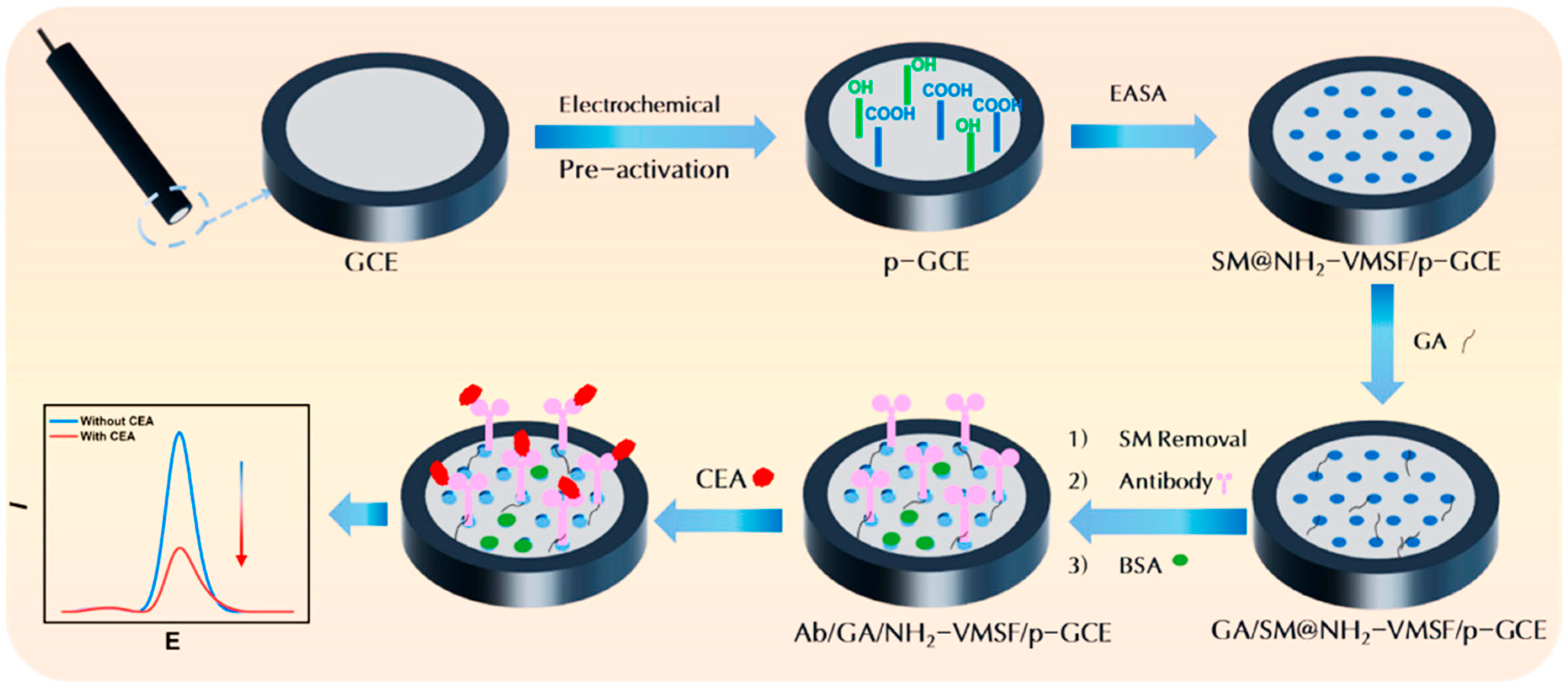 Biosensors 15 00766 g004 Biosensors 15 00766 g004