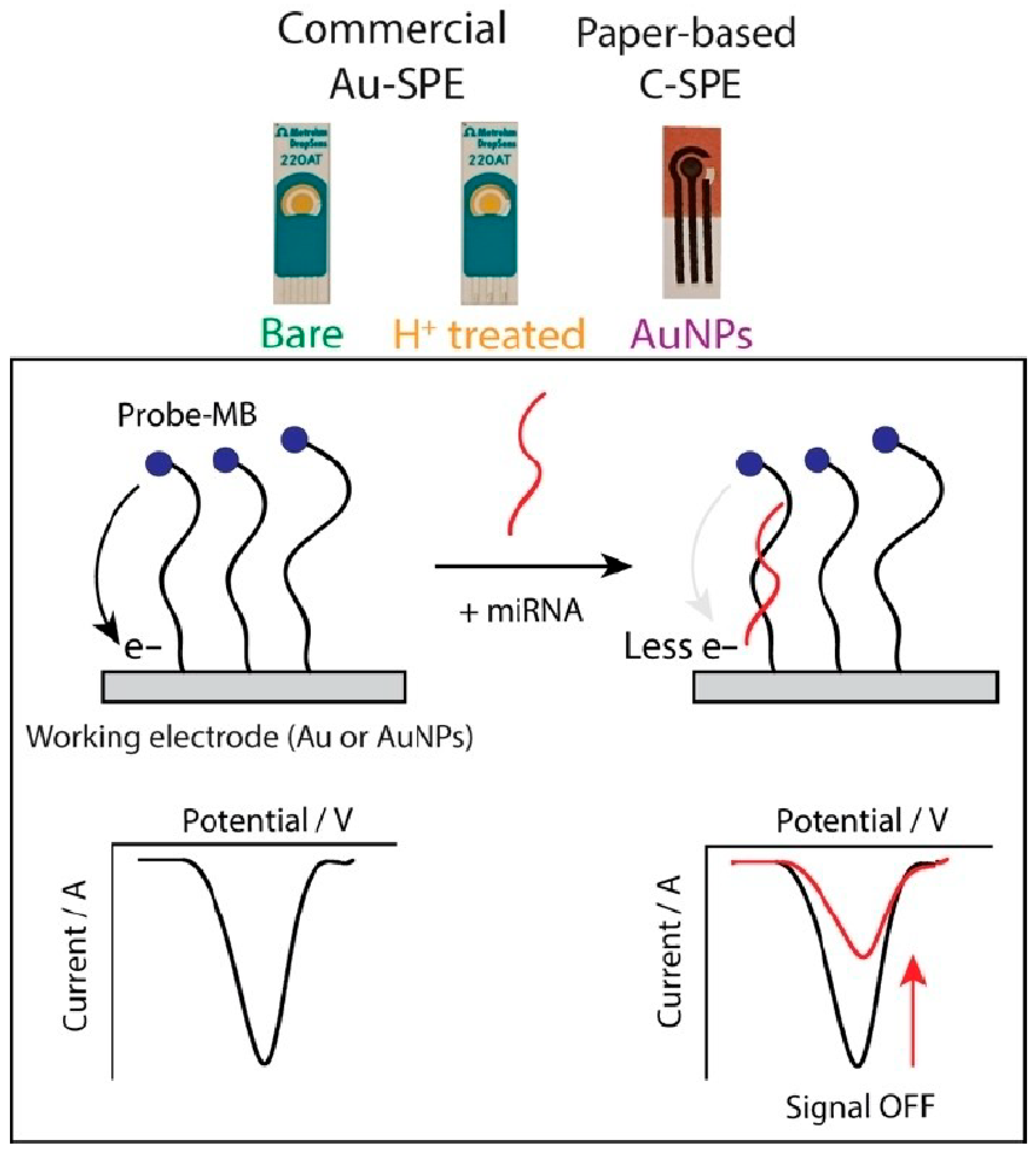 Biosensors 15 00766 g006 Biosensors 15 00766 g006