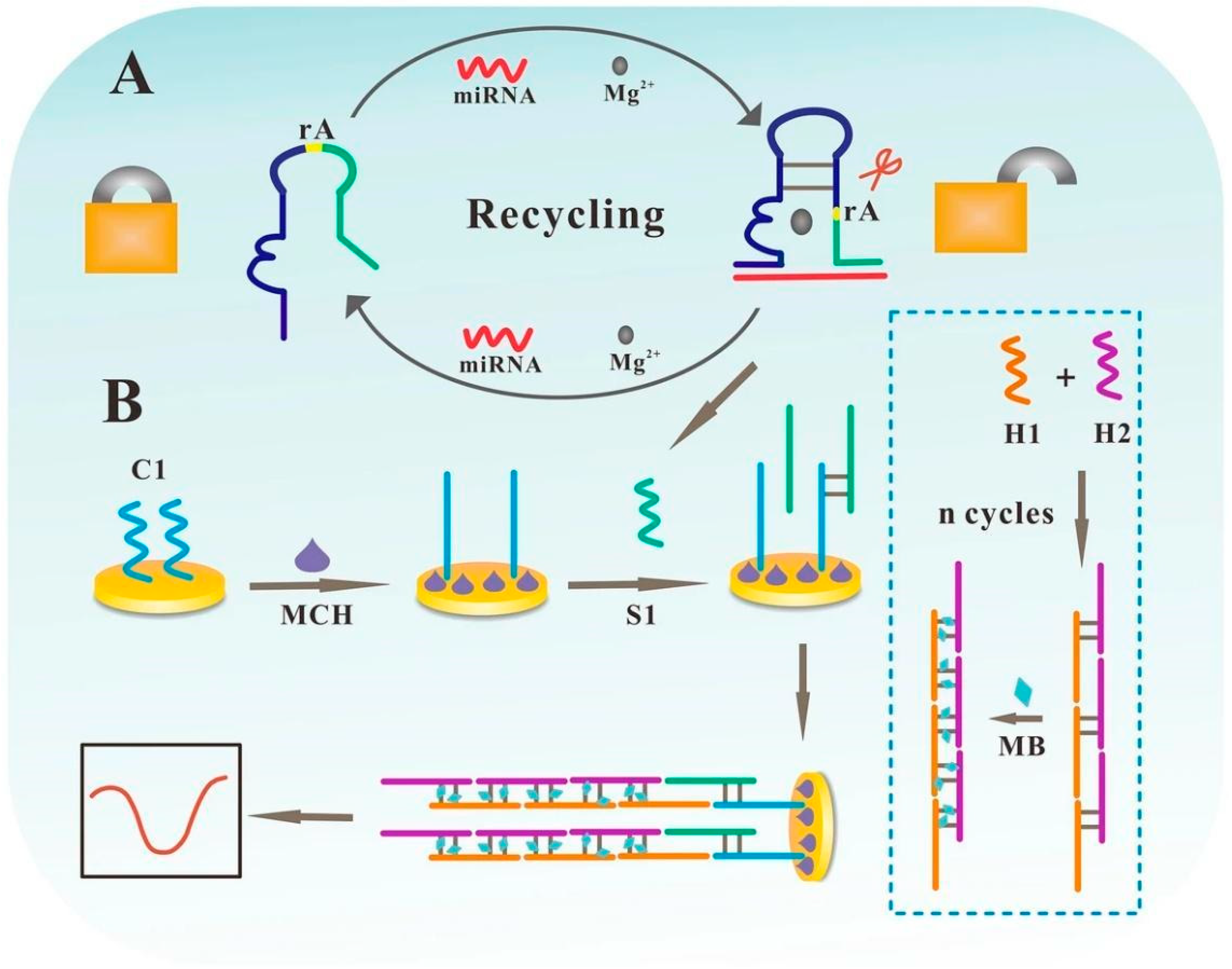 Biosensors 15 00766 g007 Biosensors 15 00766 g007