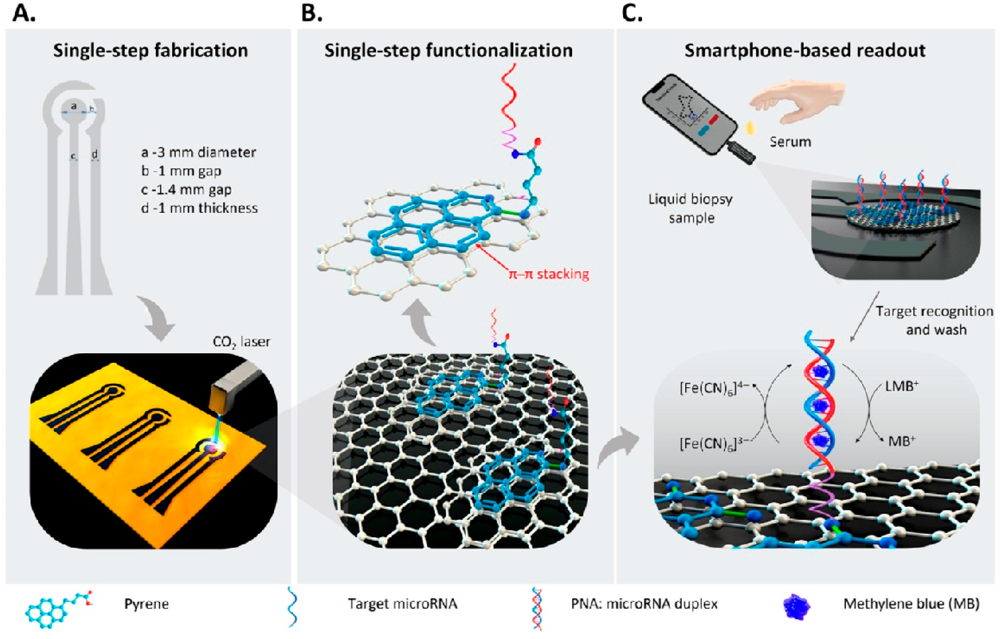 Biosensors 15 00766 g008 Biosensors 15 00766 g008