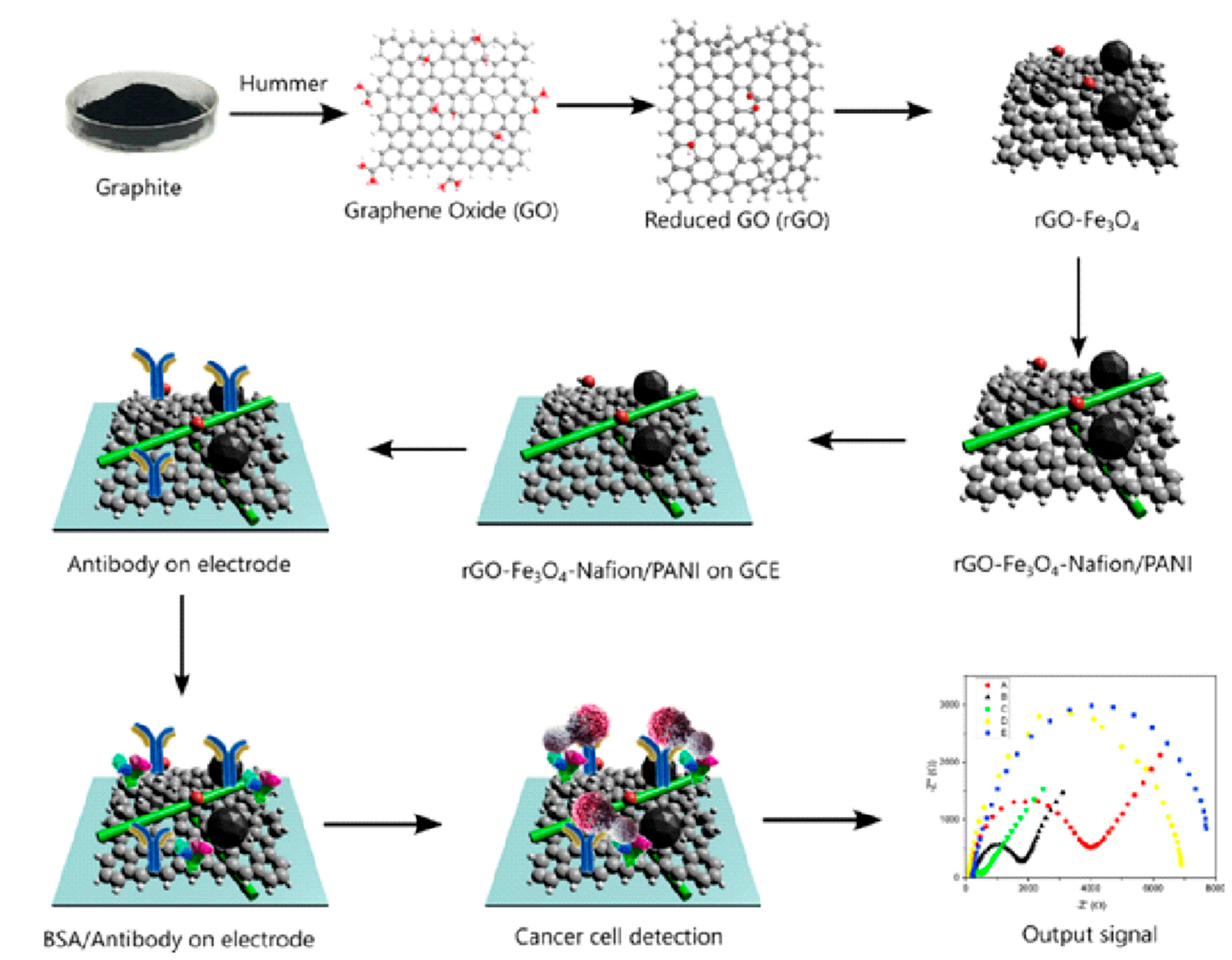 Biosensors 15 00766 g009 Biosensors 15 00766 g009