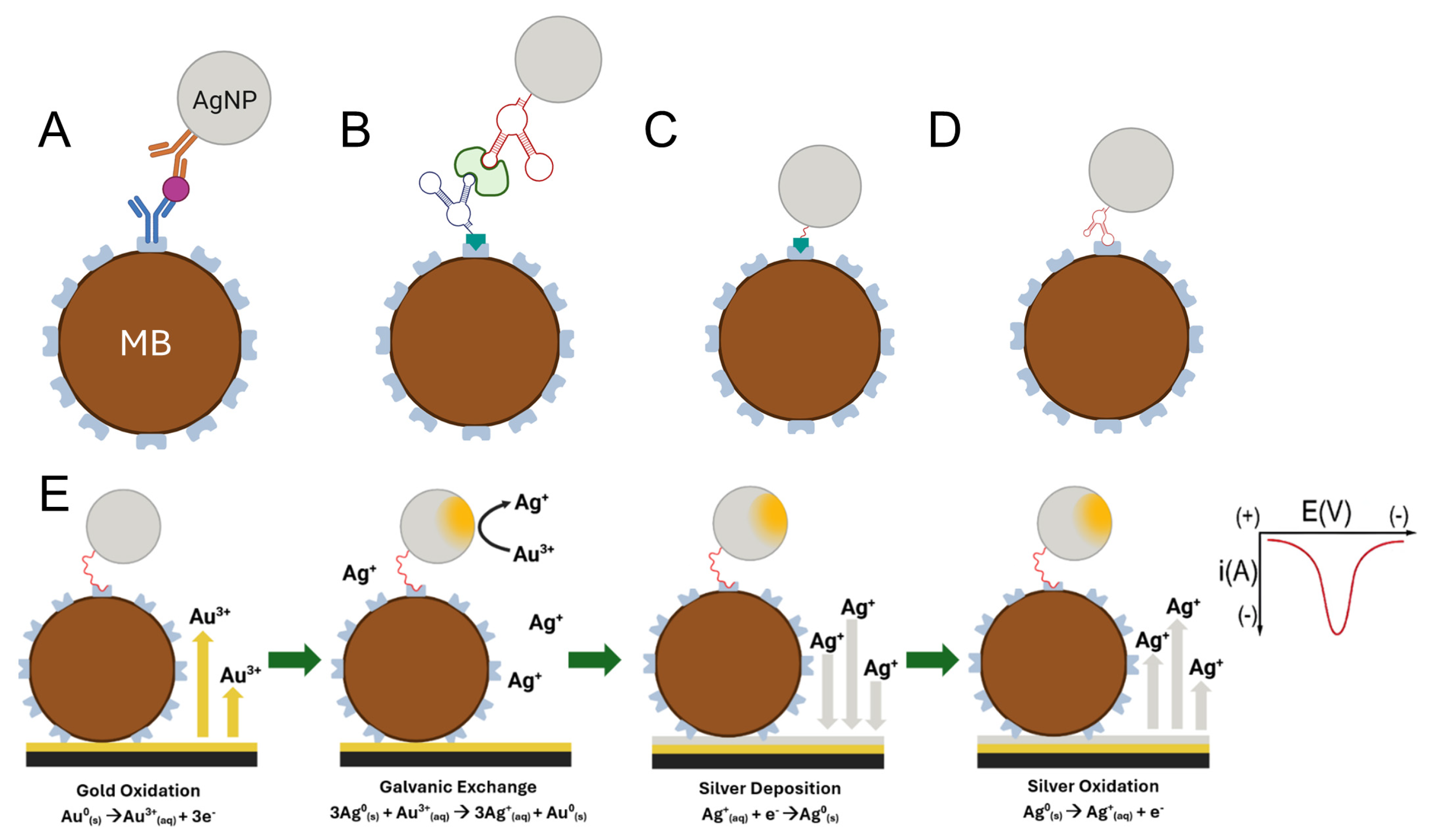 Biosensors 15 00768 sch001
